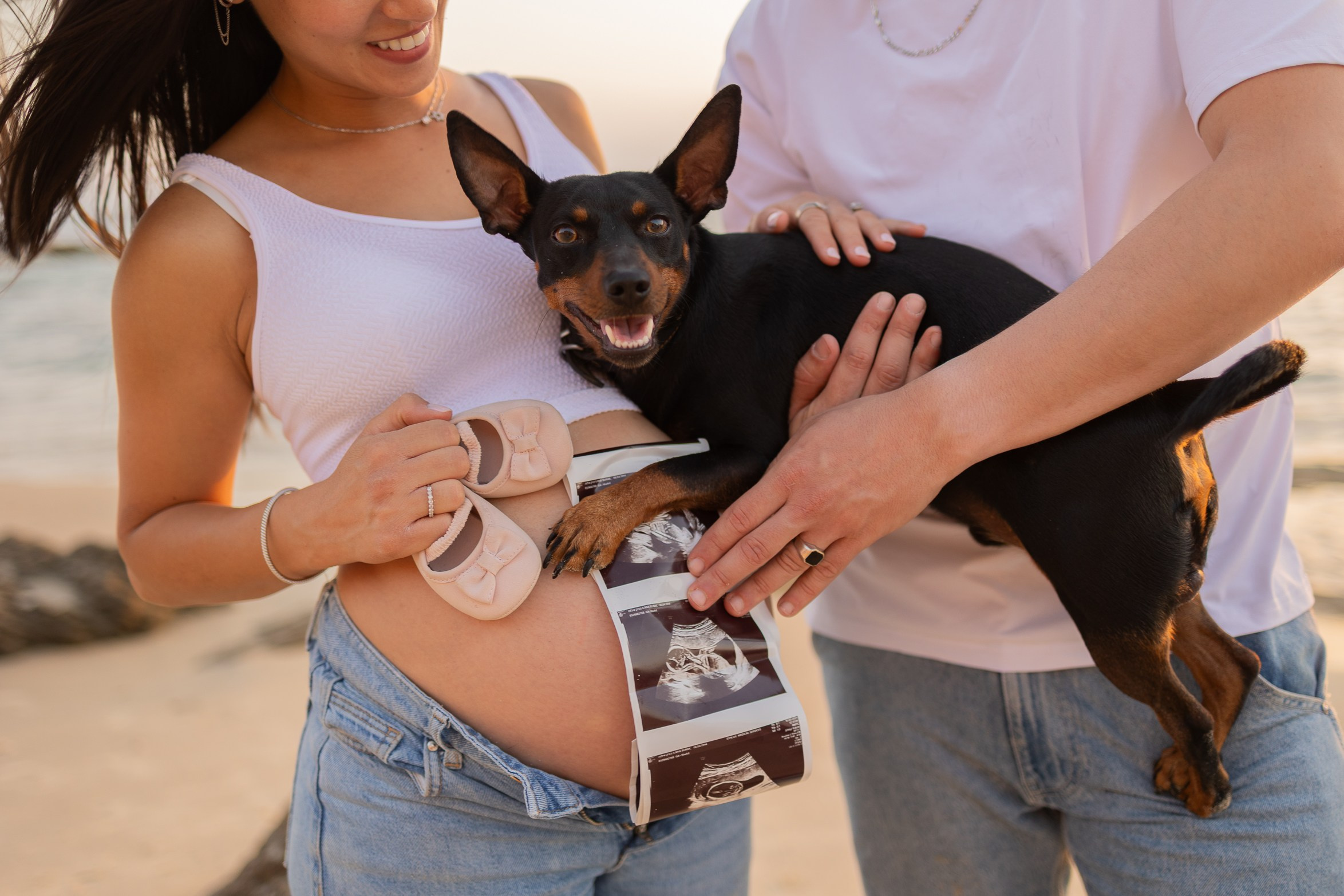 צילומי הריון עם כלב מתוק. דף בית