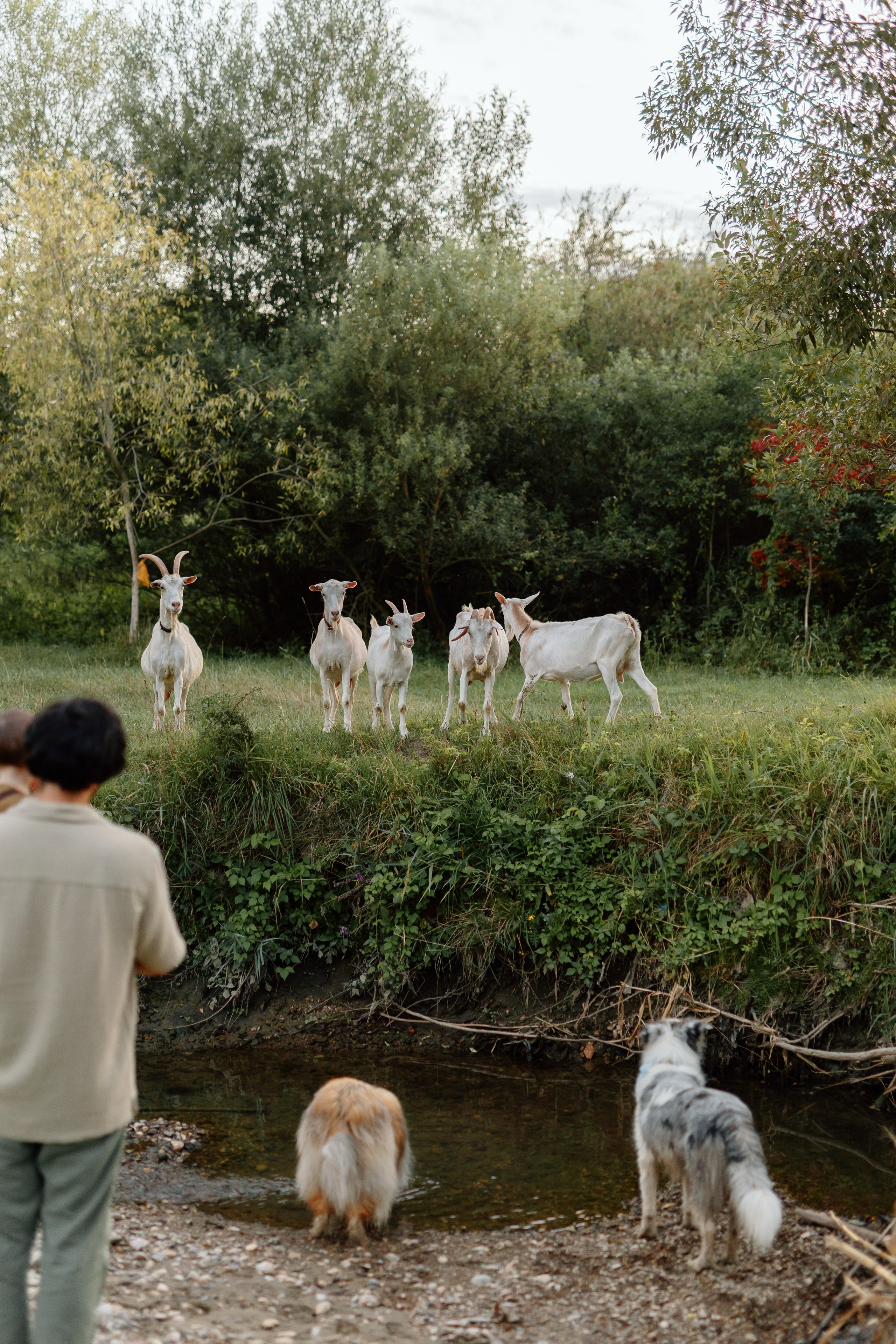 Cristina, George & Ian — Family. Main