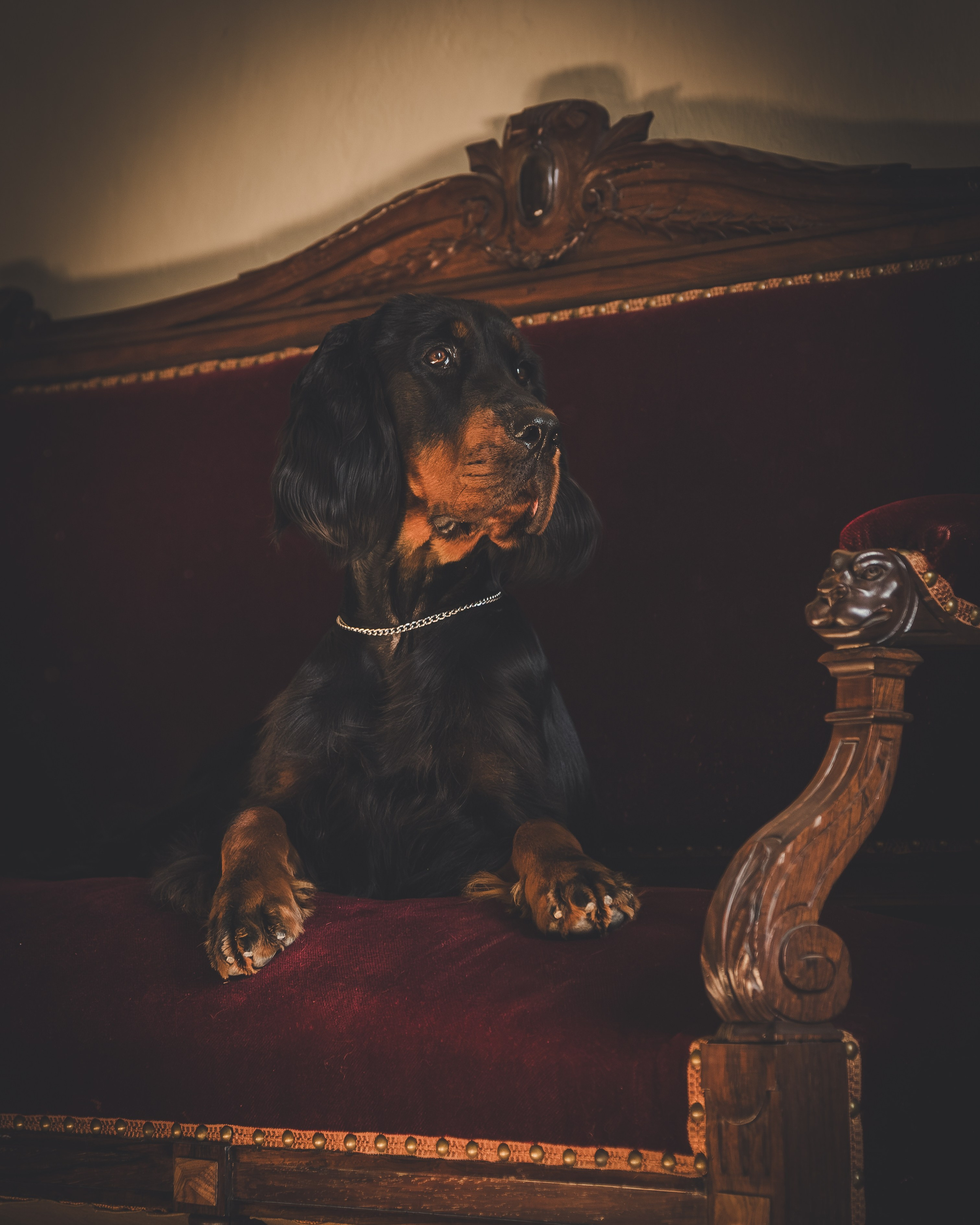 Plener. Yurii Orlyk Photography