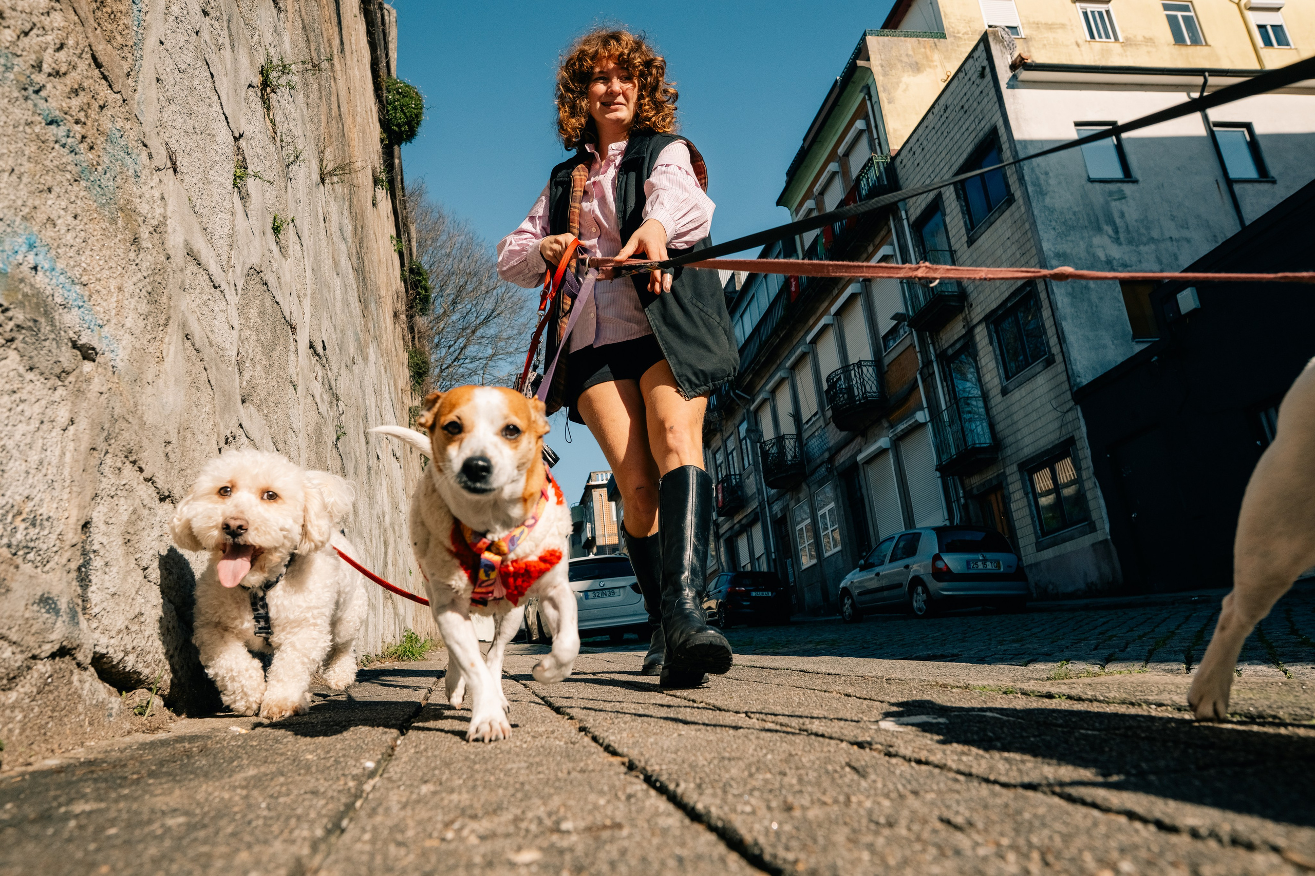 Yana & Doggos in Bonfim. Maria Sher. Professional photographer from Porto, Portugal