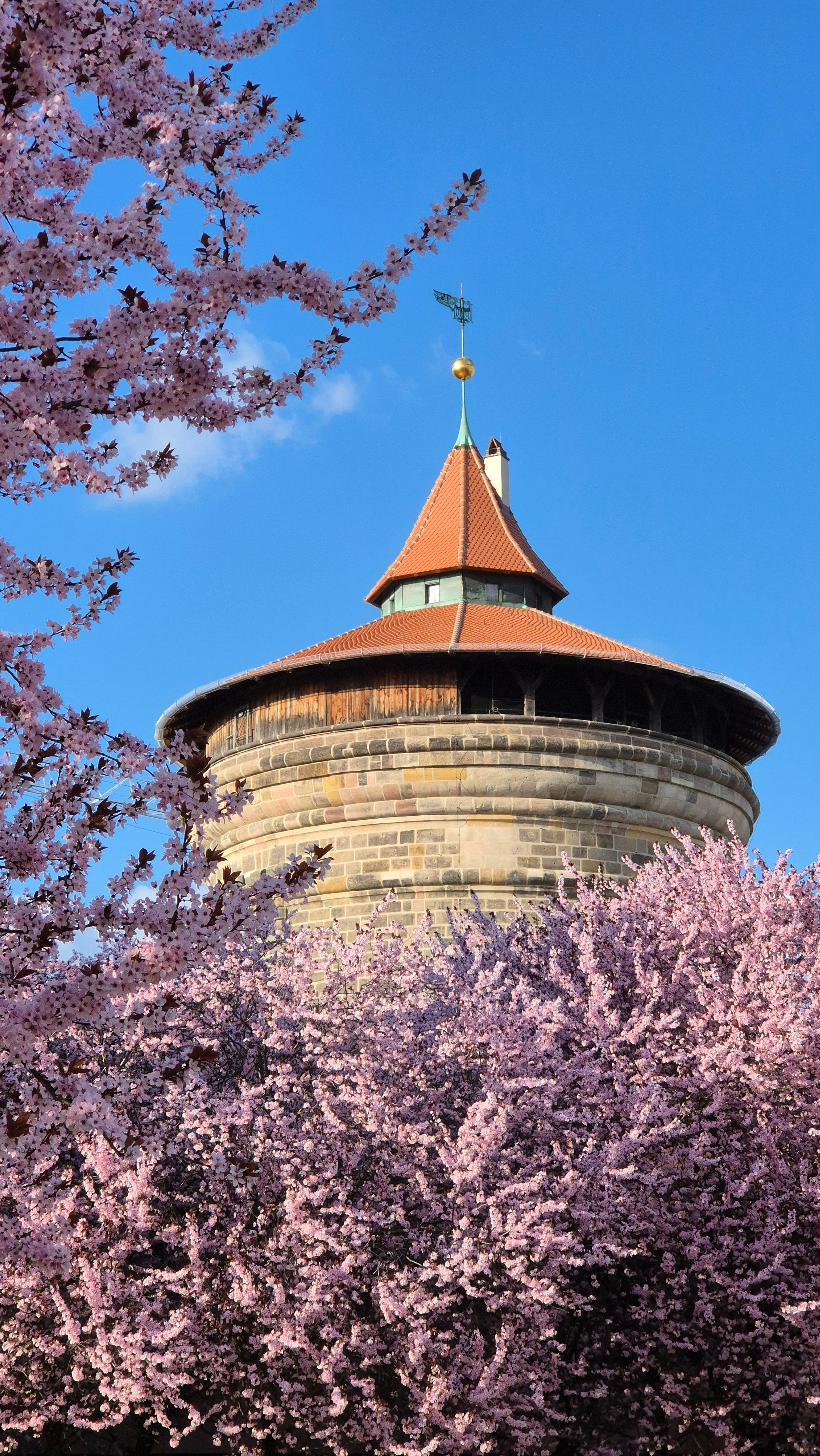 Natur und Stadt. Marina, Fotograf aus Nürnberg