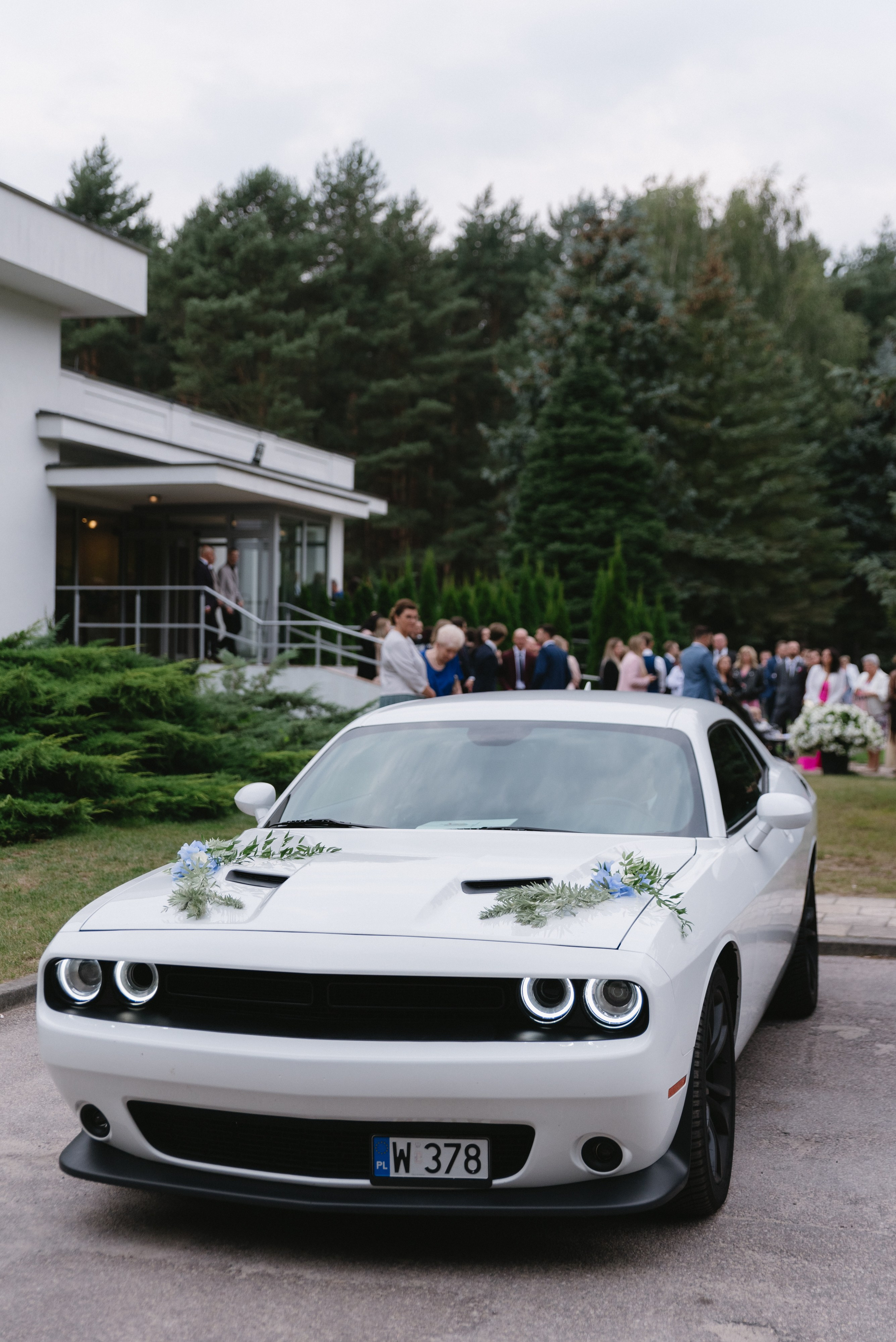 Dzień ślubny | Sesja plenerowa Patrycja & Maciej. Eugene Save – Fotograf Ślubny i Rodzinny | Warszawa i Cała Polska
