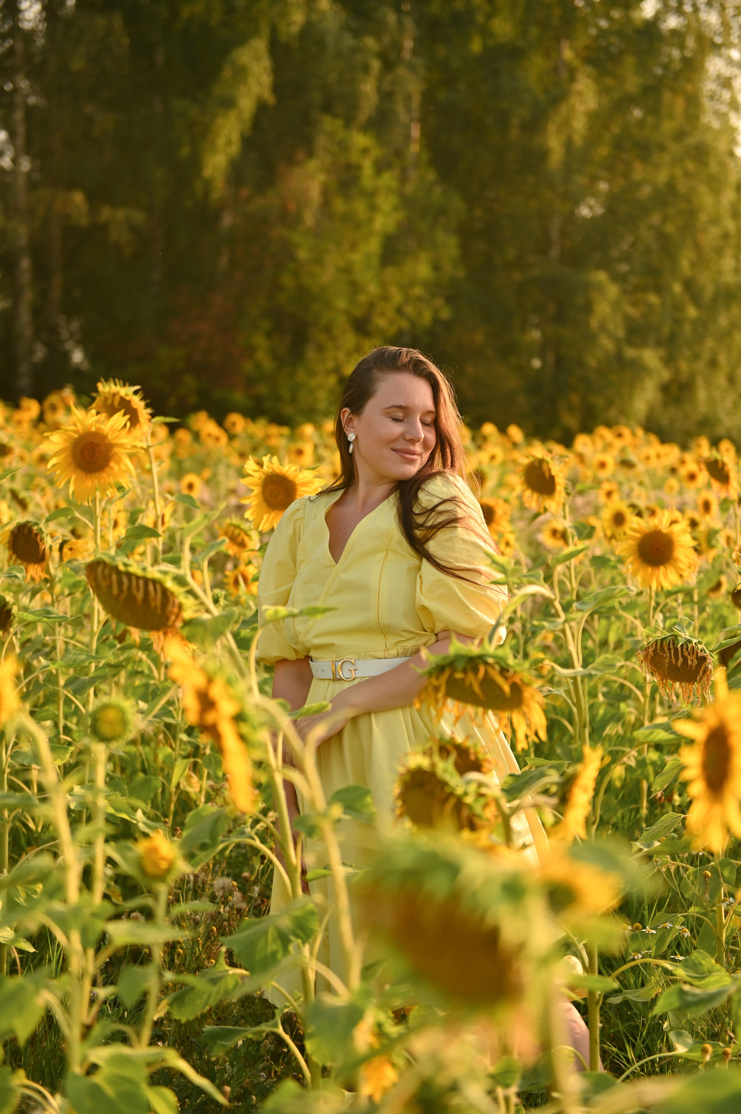 Подсолнухи. Детский и семейный фотограф в финляндии дина пулкка. контент фотограф