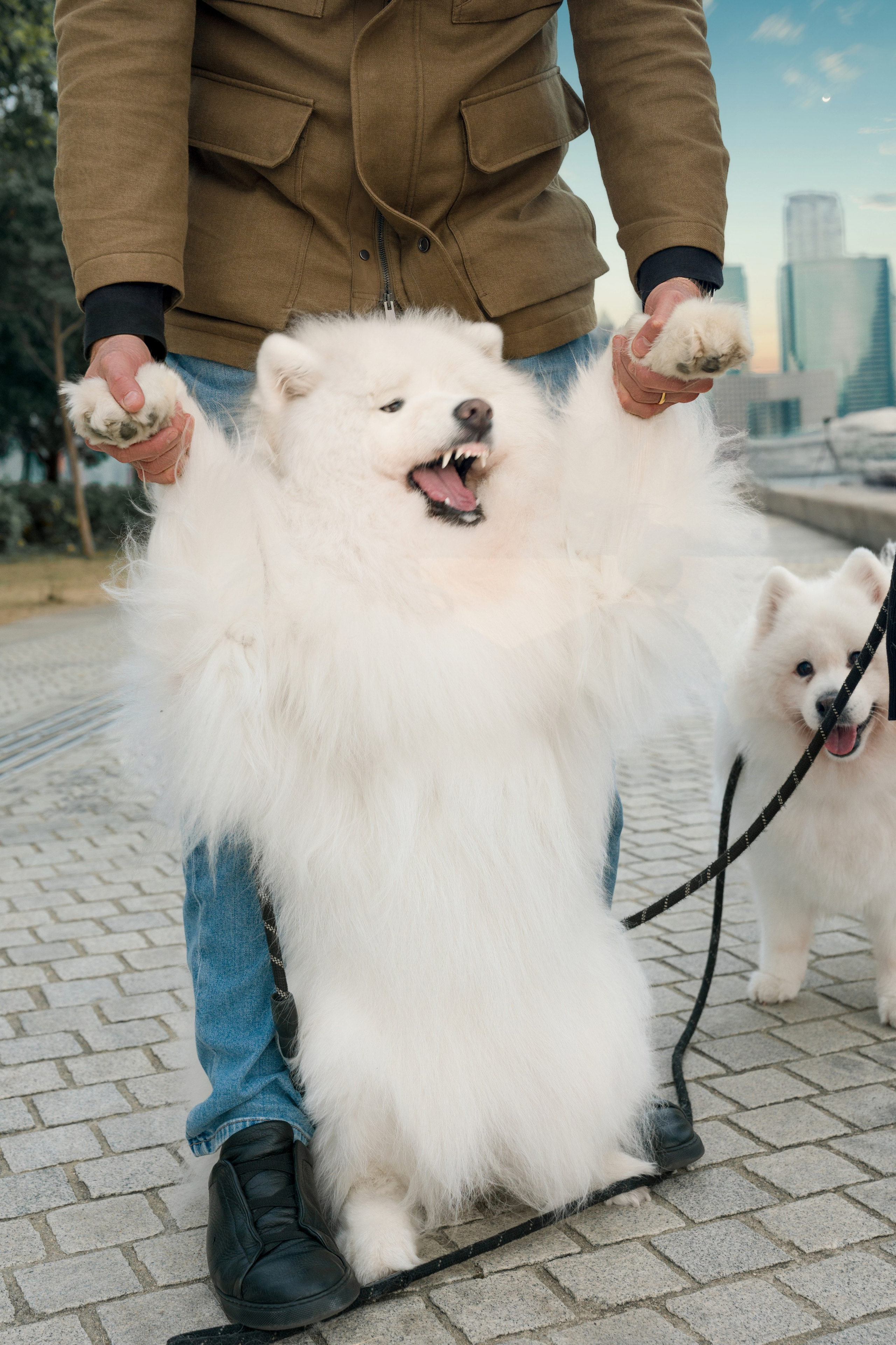 YULIA&LEONARDO. PHOTOGRAPHER IN HONG KONG (EVENTS, WEDDING, PORTRAIT, FAMILY)
