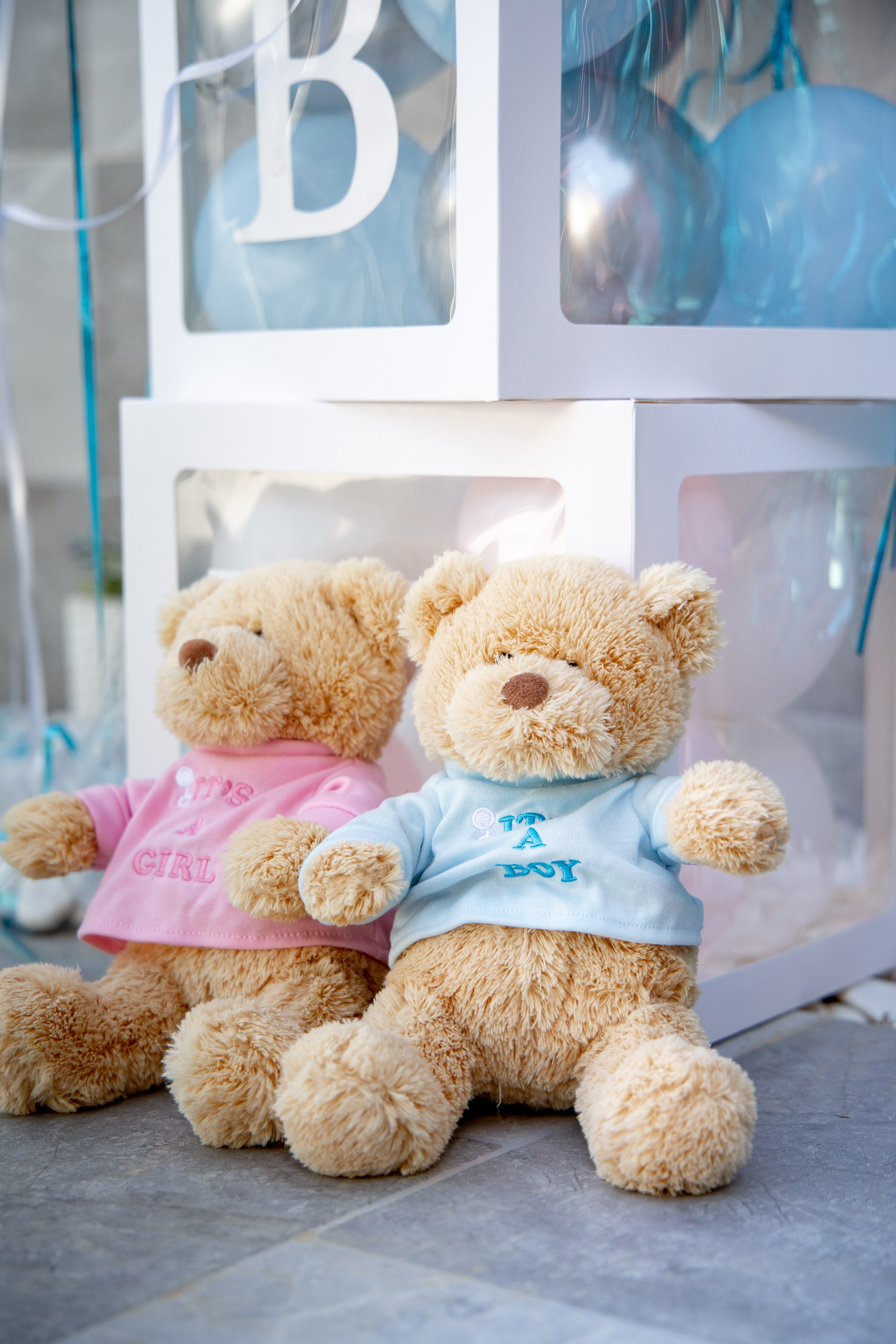 Gender Party for Alina and Michael. Home