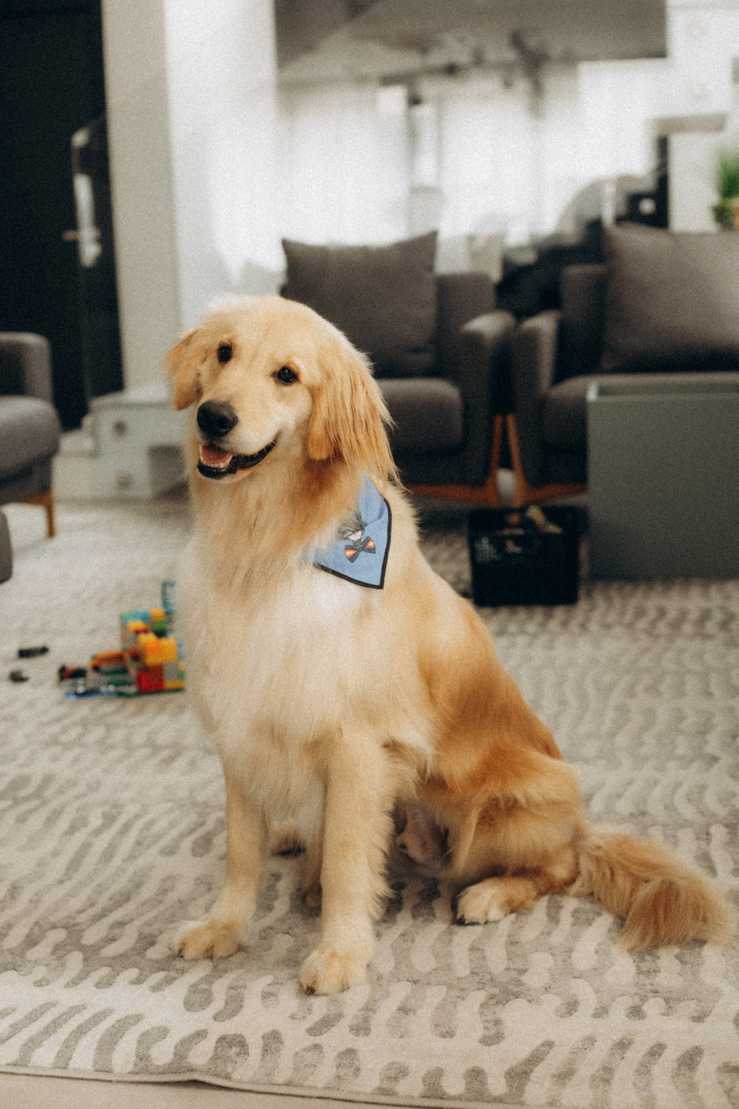 Que tempo bom. Lídia Cabral Fotografia | Fotógrafa de casais e famílias em Gramado RS