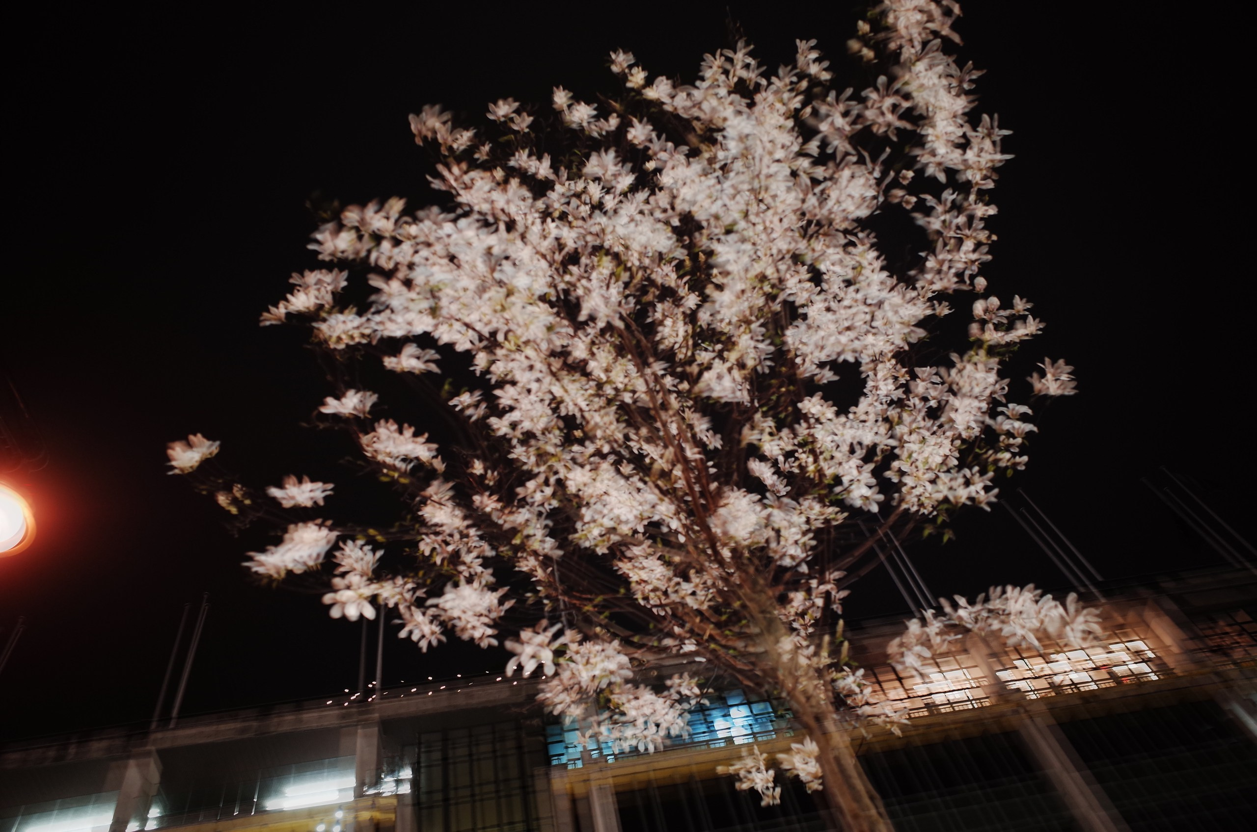 Viktoriia Road. Victoria Dini. Art photography in London / Folkestone, UK