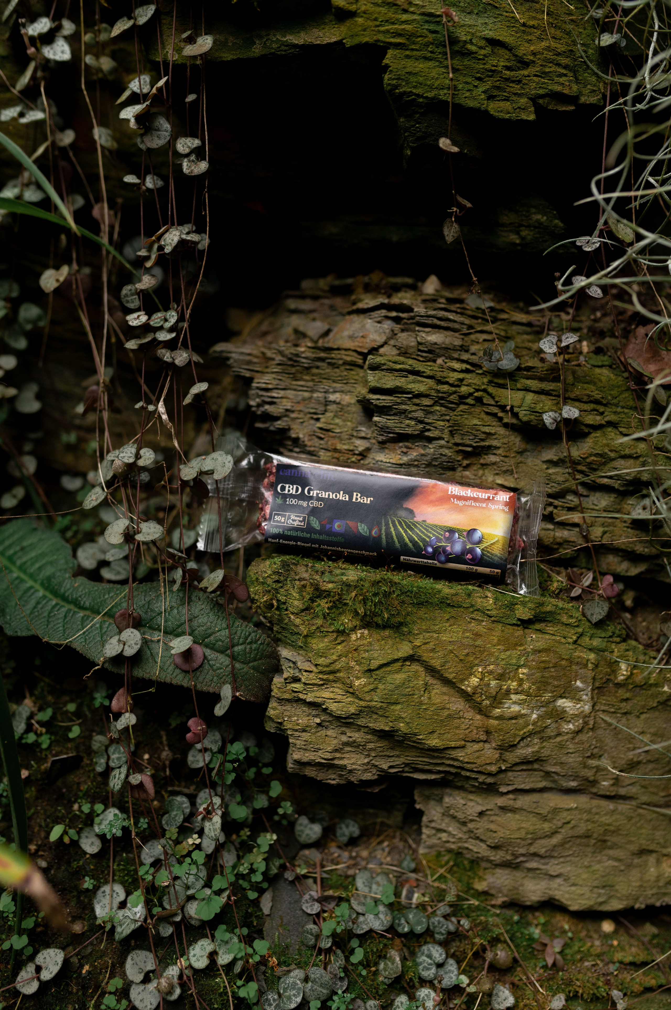 CannaXlife CBD products. ANNA-MARIA PHOTO CONTENT CREATOR — фотограф, эстет, художник и визуальный эксперт в Instagram, работающий в Праге