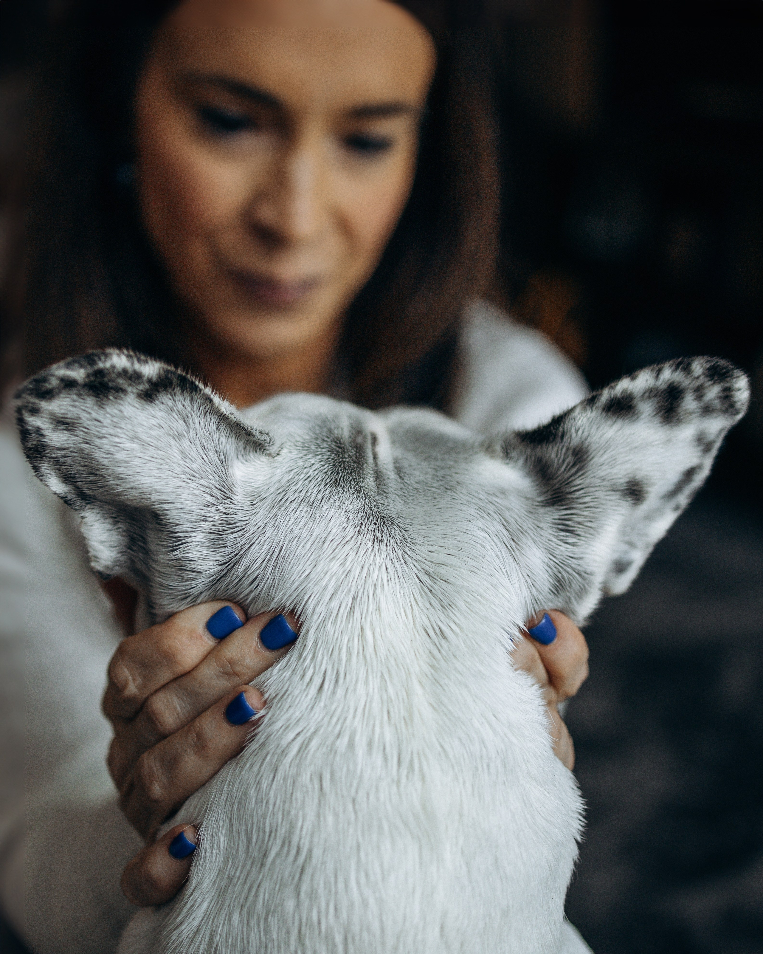 Pearl & Melanie. Pet Photographer Viktoriya Aleshenko