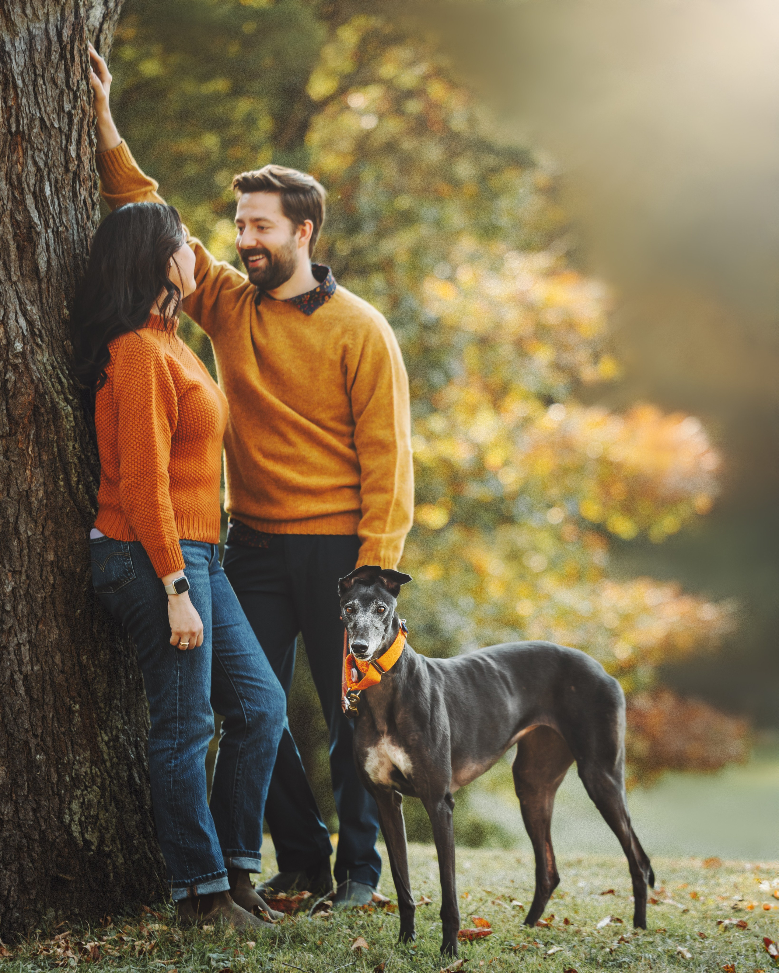 Tilly, Kati & Landon. Pet Photographer Viktoriya Aleshenko