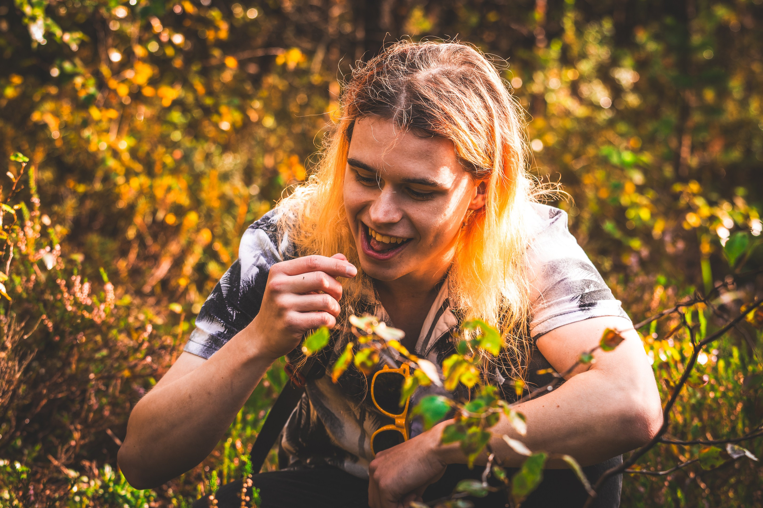 Mets, vihm ja jahedus (Dimitry). Nebula 25 — Fotod teie hingele