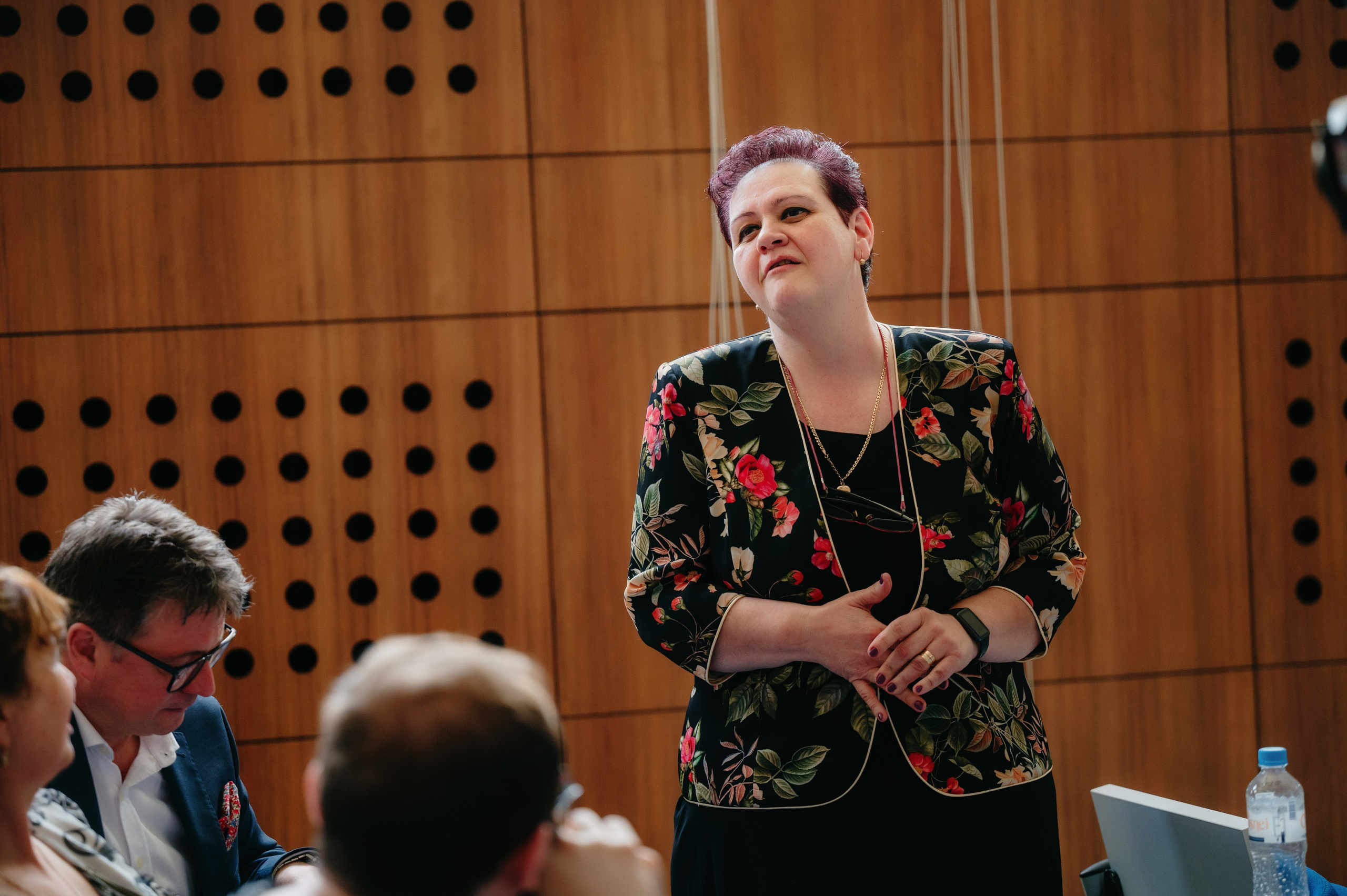 Medicina Veterinara — dupa 30 de ani…. Laurentiu Stefan StoryTeller