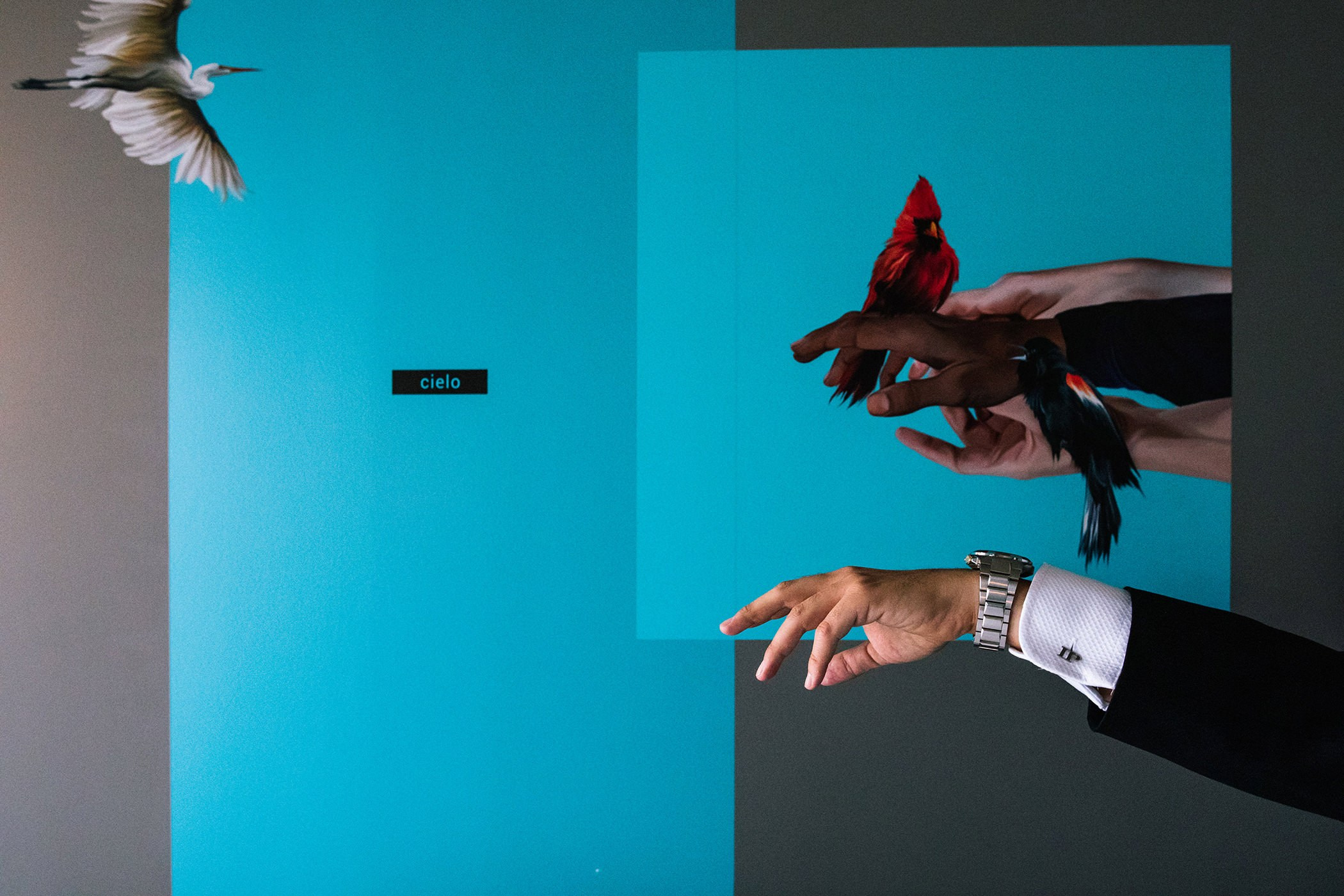 Preparativos /Getting Ready. Principal