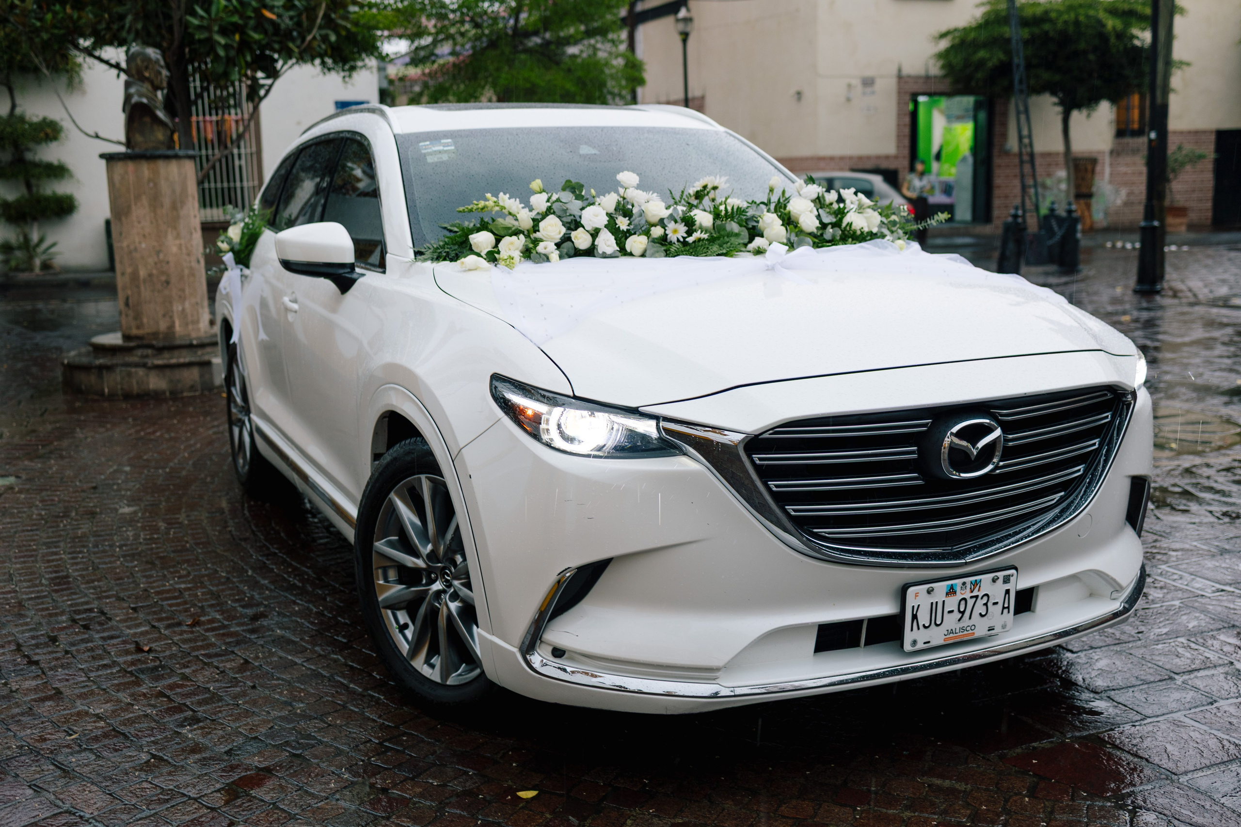 Alejandra y Salvador. Principal