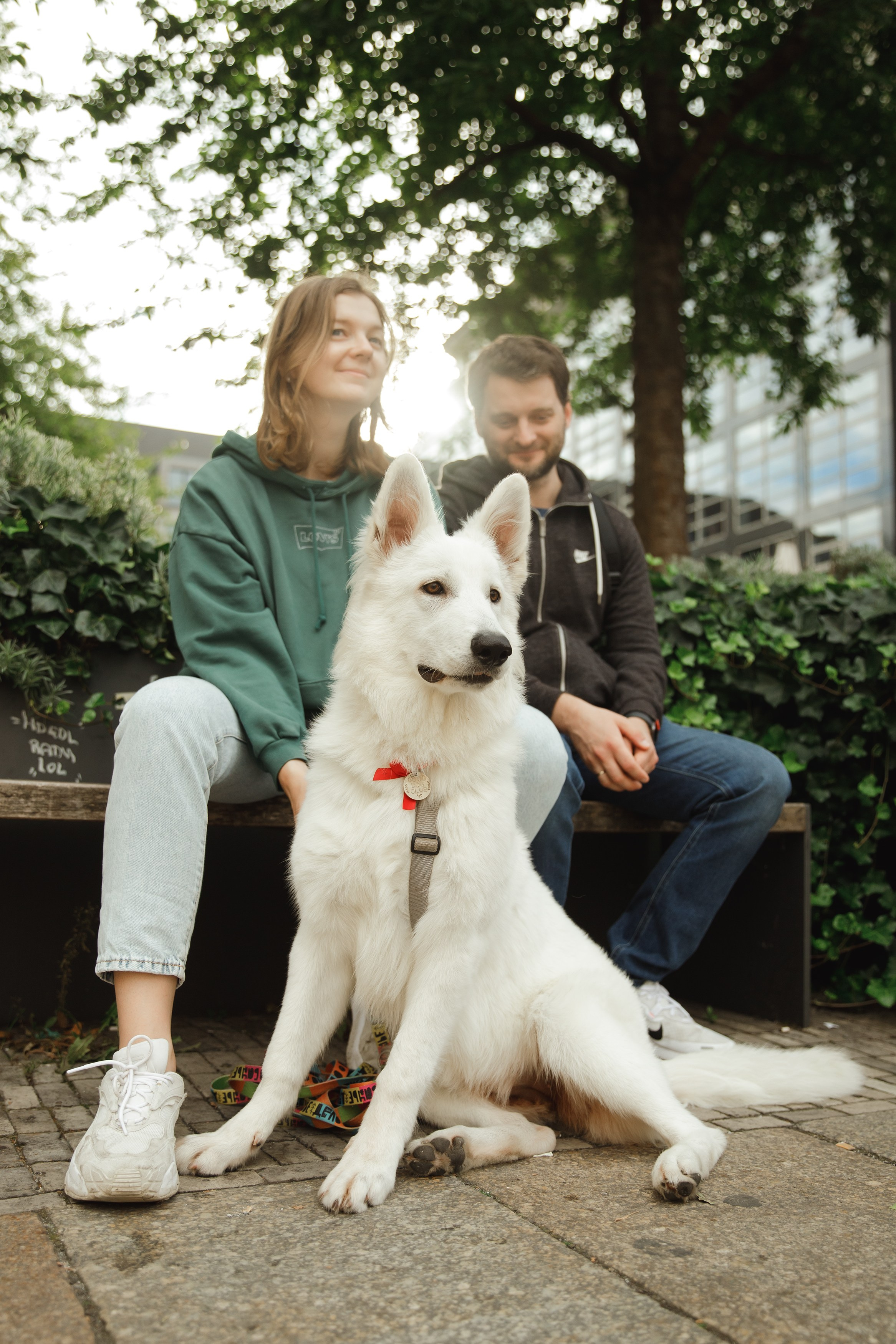 Astra in Leipzig. Kaja | fotograf we Wrocławiu | ludzie i psy