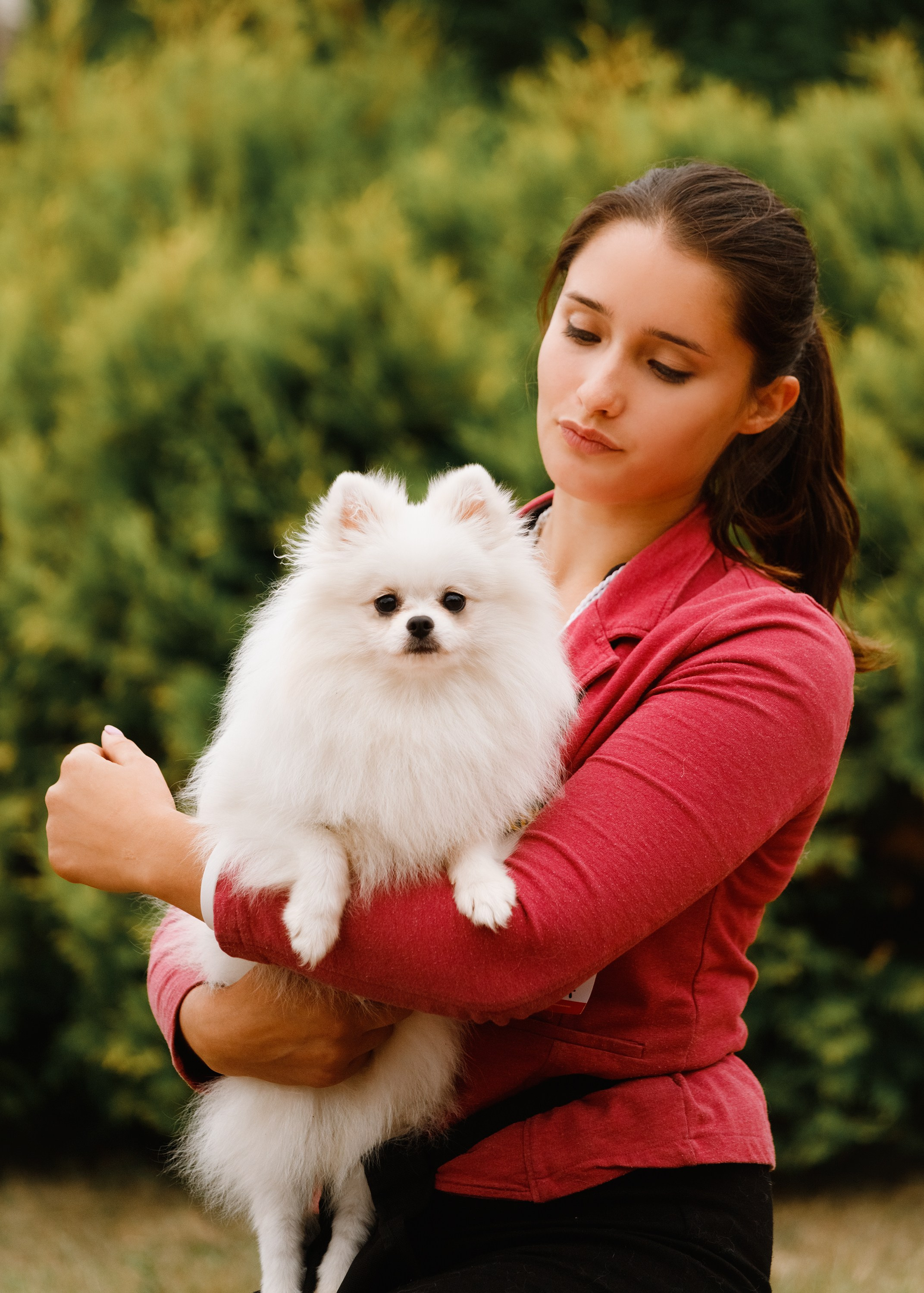 Dog shows | the best ones. Kaja | fotograf psów we Wrocławiu