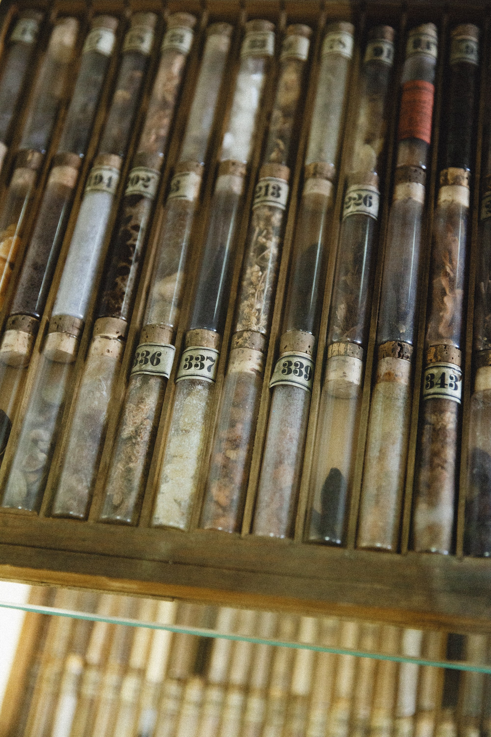 Museum of farmacy in Wroclaw. Kaja | fotograf we Wrocławiu | ludzie i psy