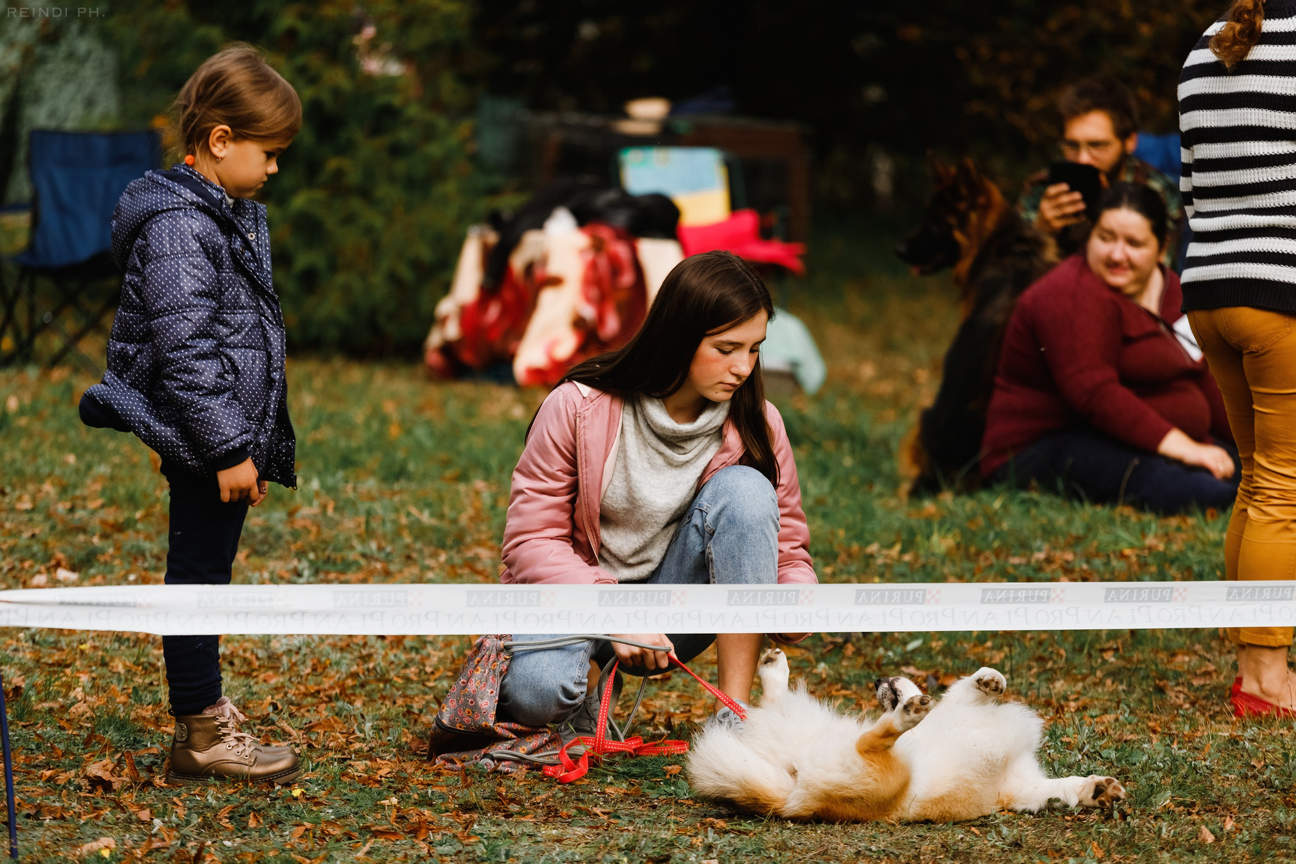 «Argus» dog show in Brest. Kaja | fotograf we Wrocławiu | ludzie i psy