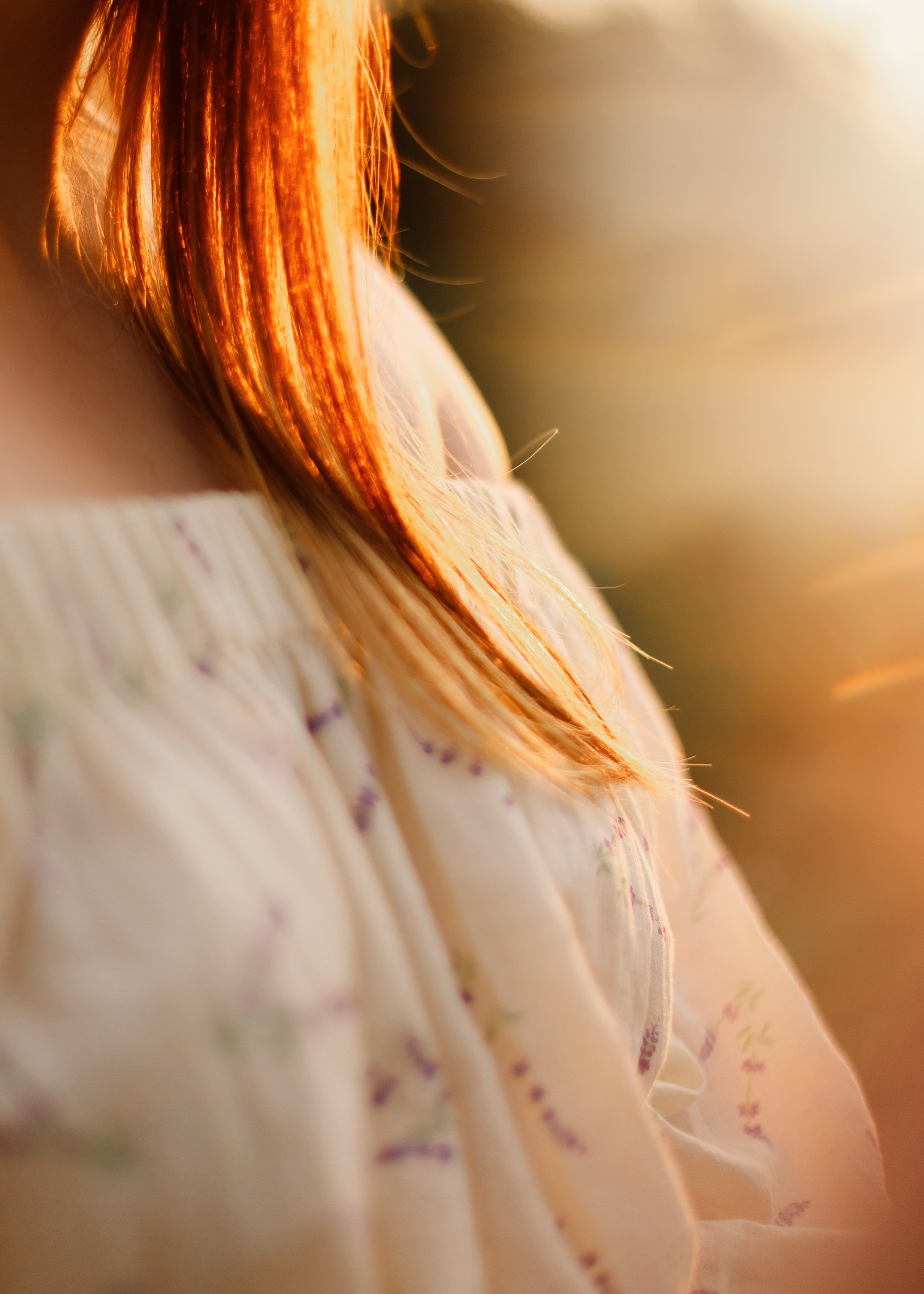 Katya in the field. Kaja | fotograf psów we Wrocławiu