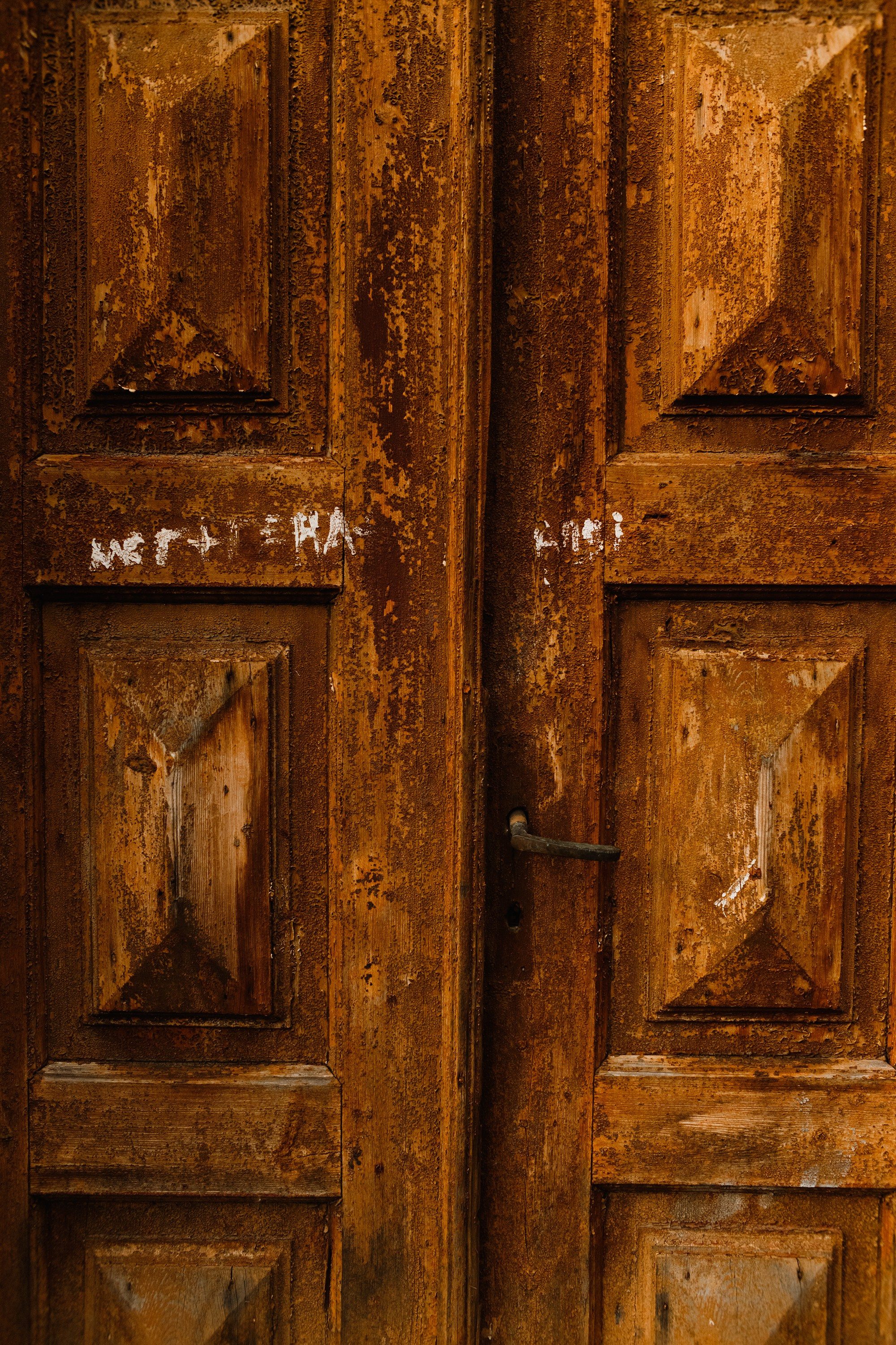 Grodno. Kaja | fotograf we Wrocławiu | ludzie i psy