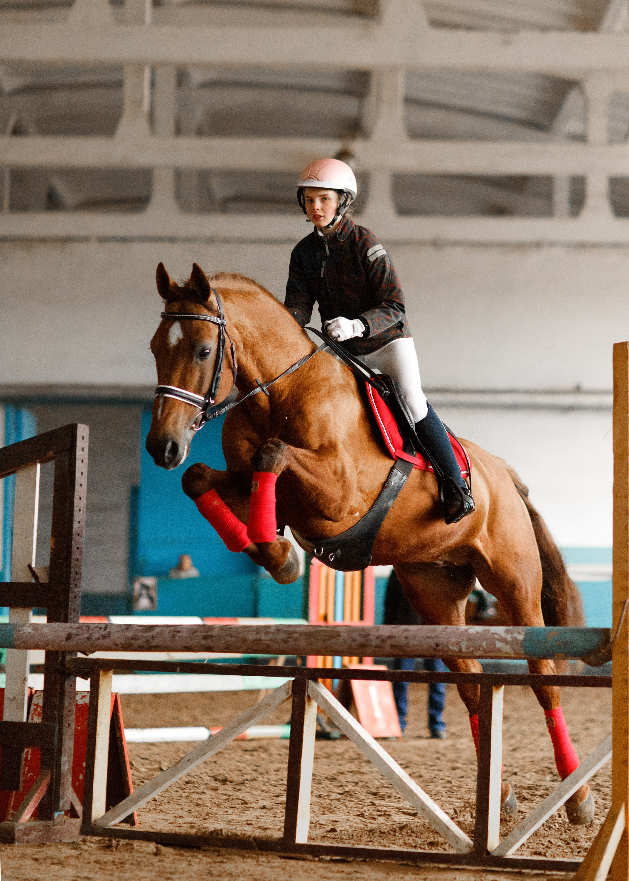 Winter show jumping in «Progress». Kaja | fotograf we Wrocławiu | ludzie i psy