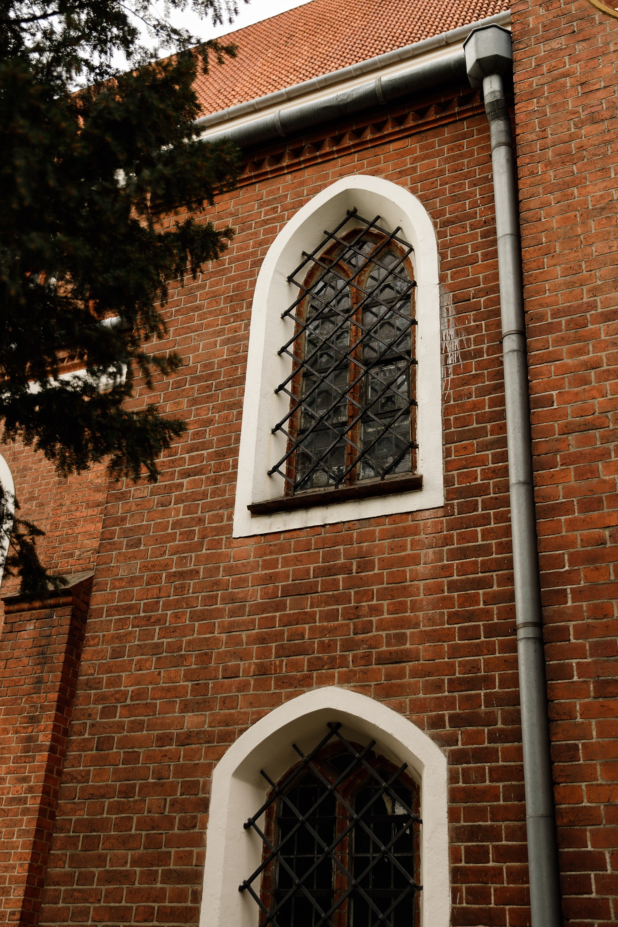 Oleśnica castle. Kaja | fotograf psów we Wrocławiu