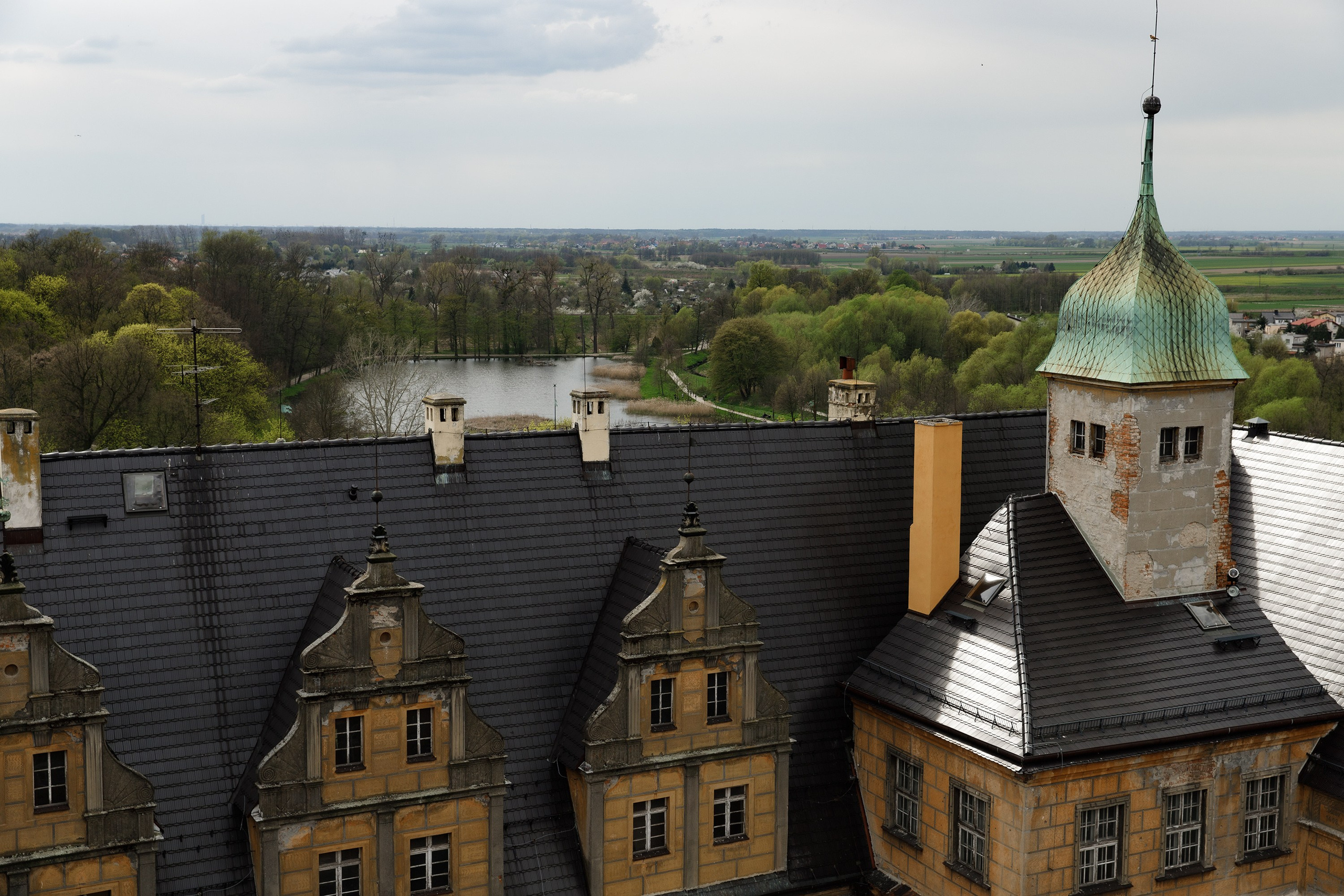 Oleśnica castle. Kaja | fotograf psów we Wrocławiu