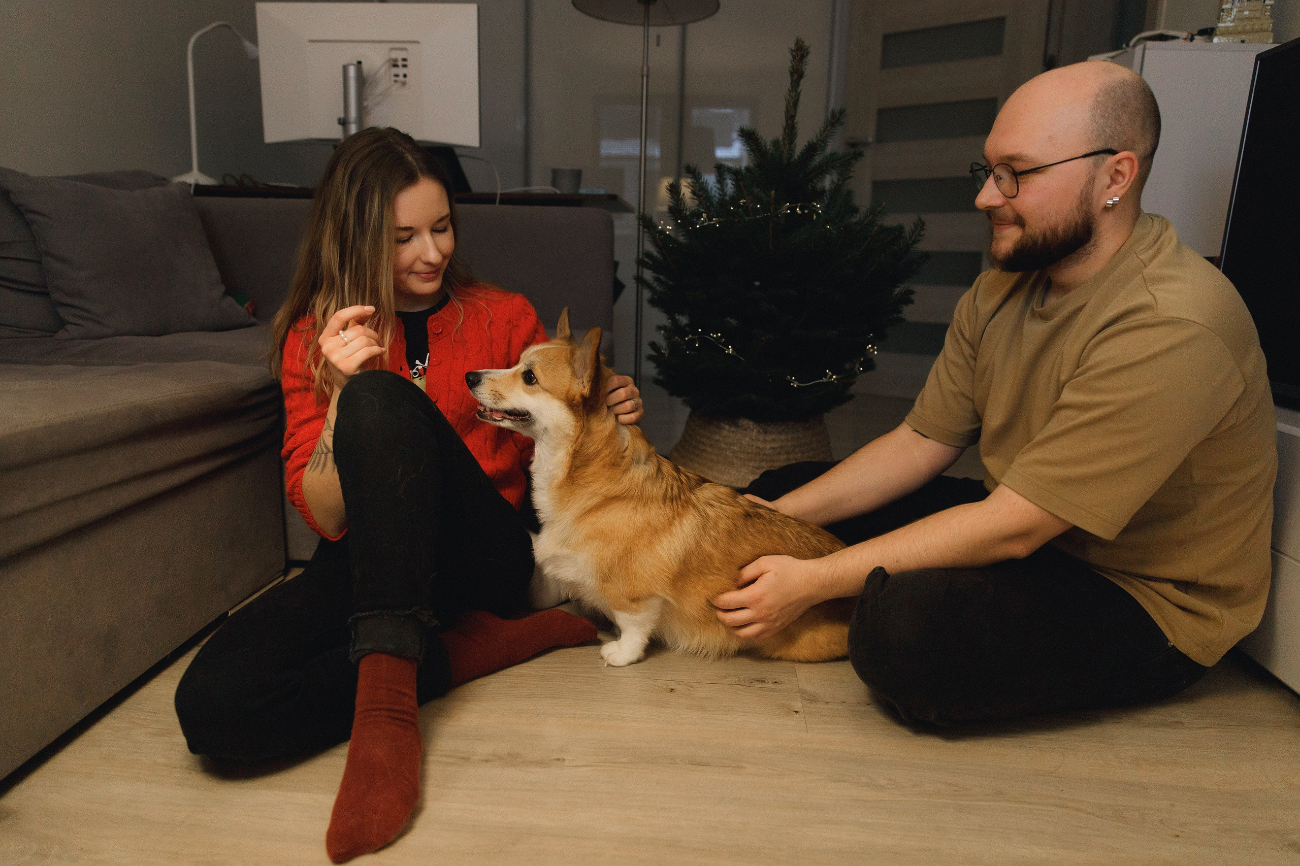 Dasha & Daisy. Kaja | fotograf psów we Wrocławiu