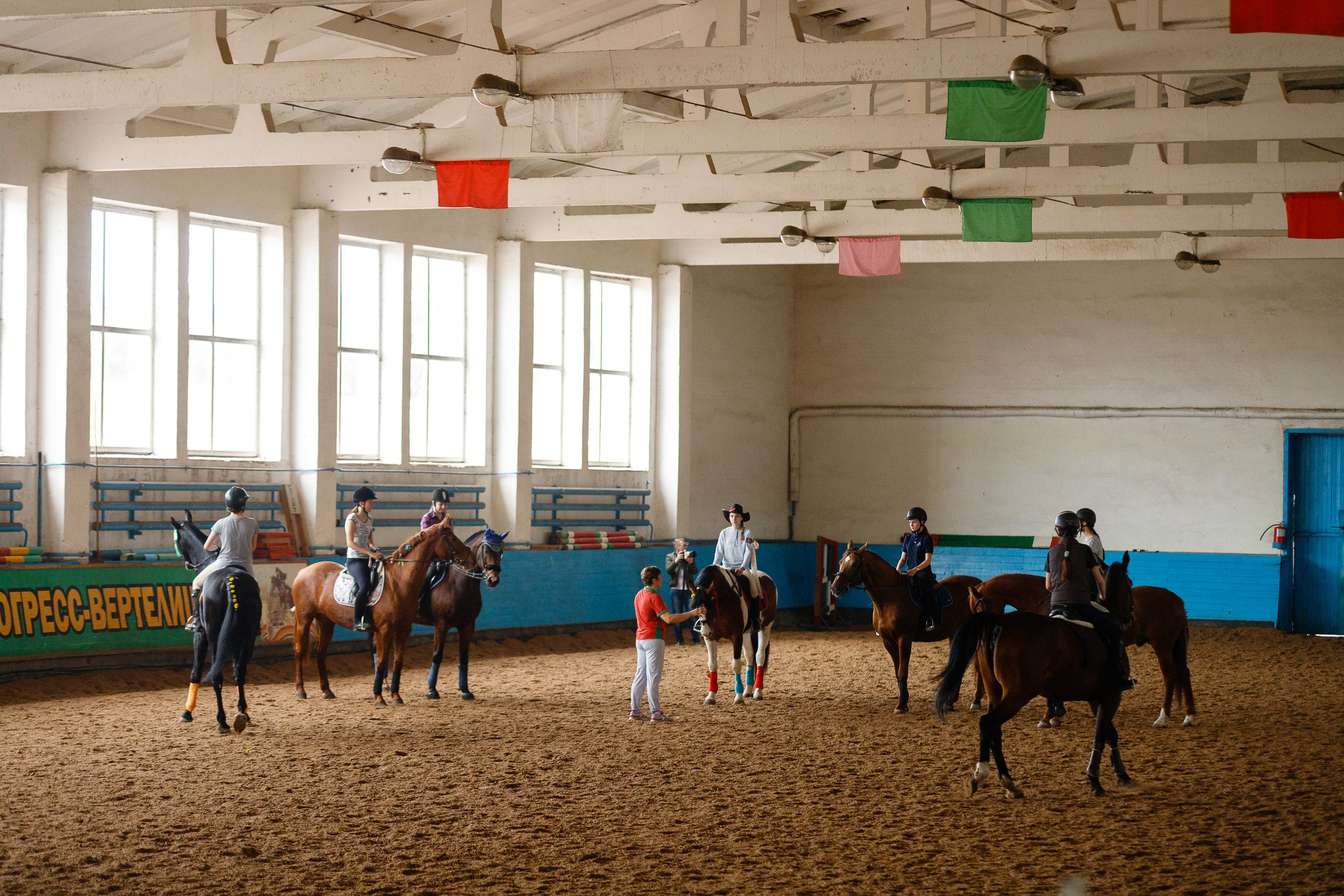 Horse winter games. Kaja | fotograf we Wrocławiu | ludzie i psy