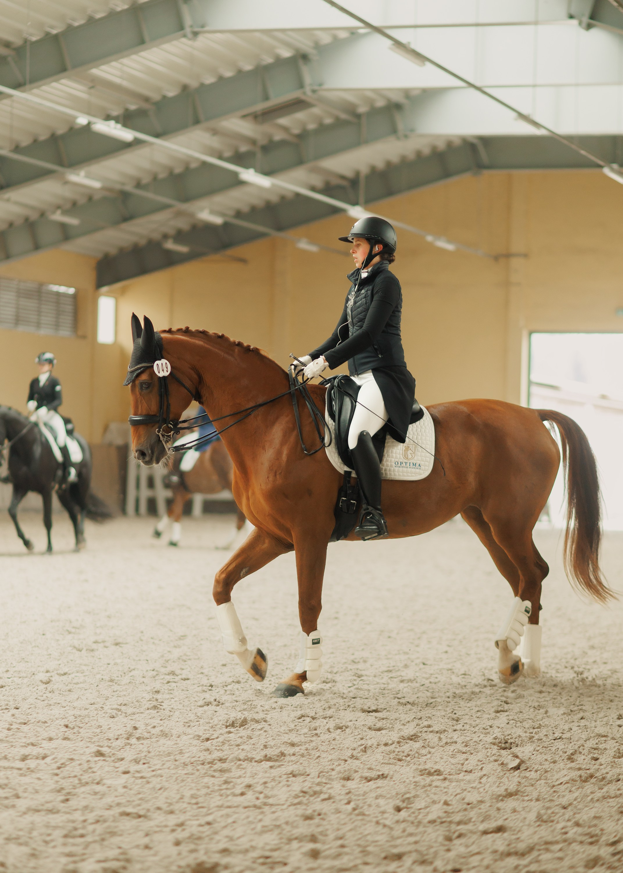 Partynice dressage \ feb'25. Kaja | fotograf we Wrocławiu | ludzie i psy