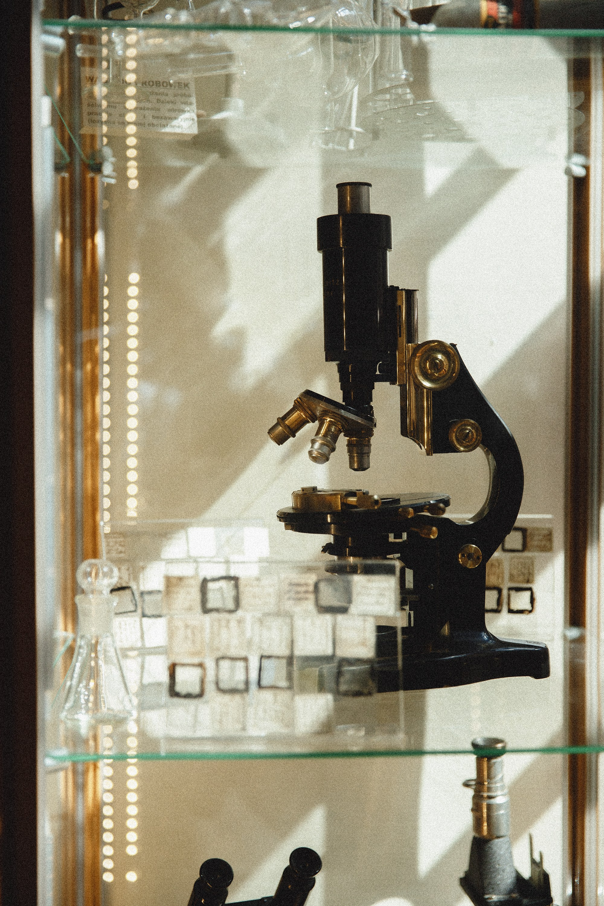 Museum of farmacy in Wroclaw. Kaja | fotograf we Wrocławiu | ludzie i psy