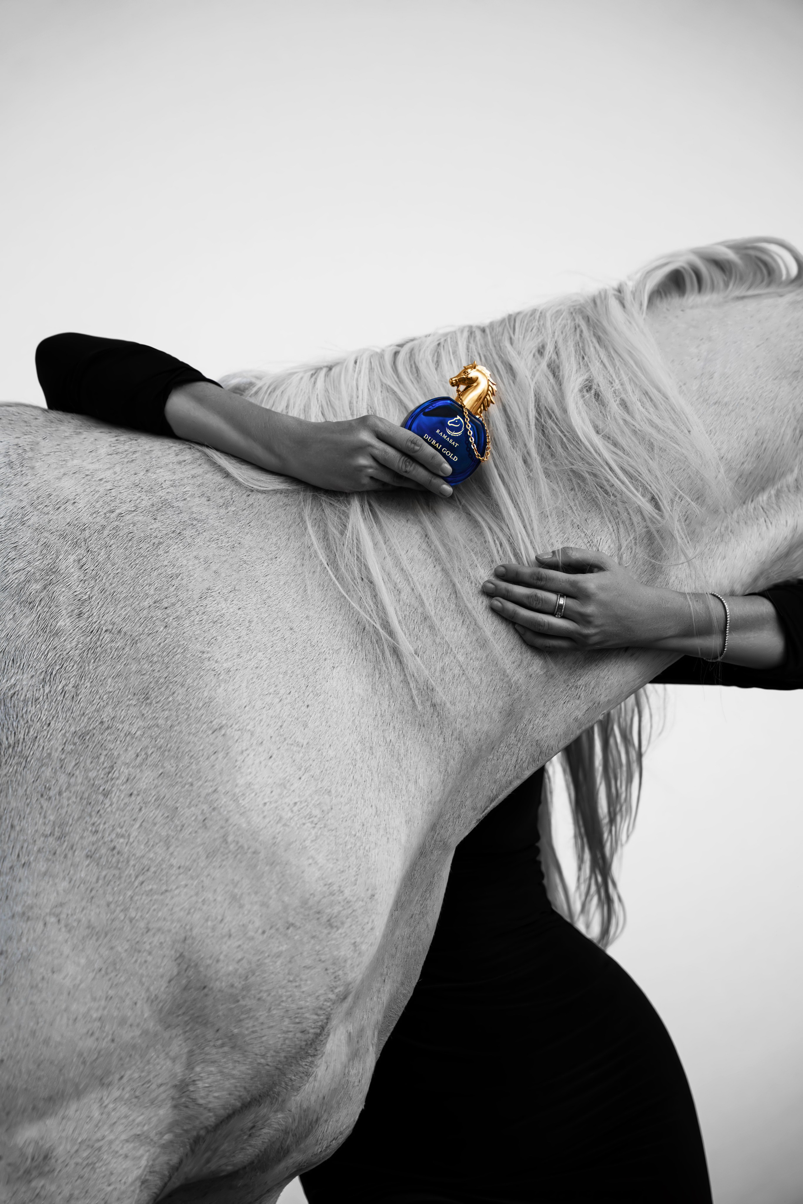 ADVERTISING. Photo and video production. Editing & retouching services. Training