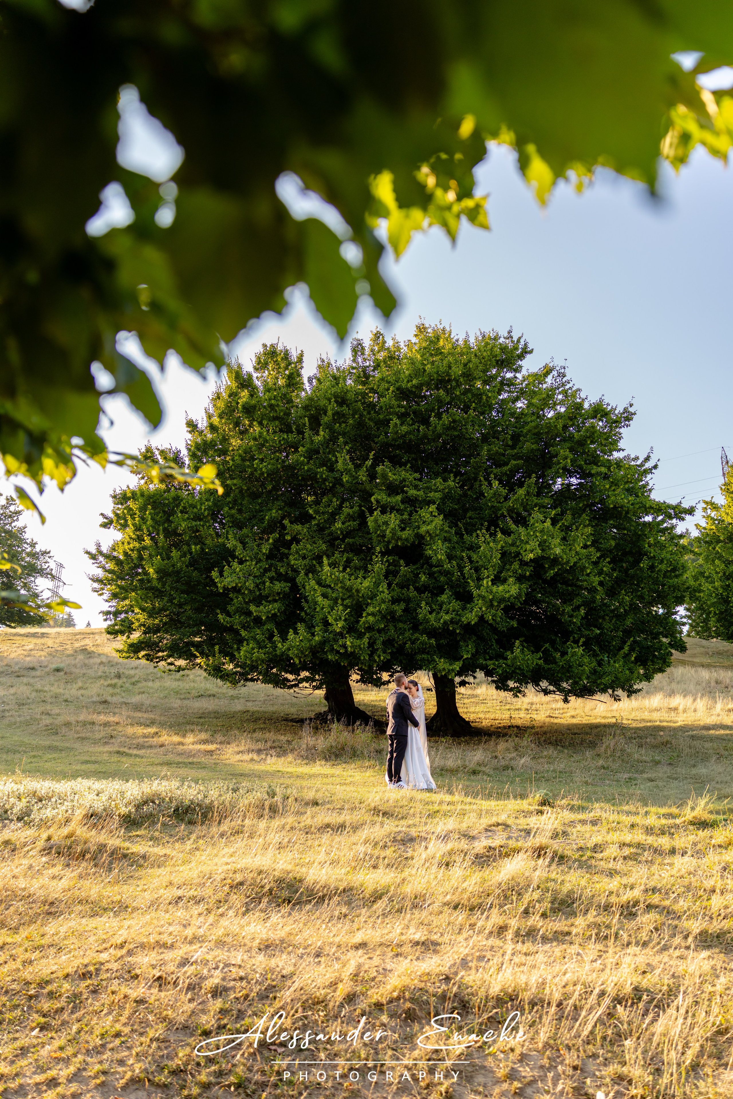Daniel & Madalina. Alessander Enache–Fotograf de Nuntă Piatra Neamț