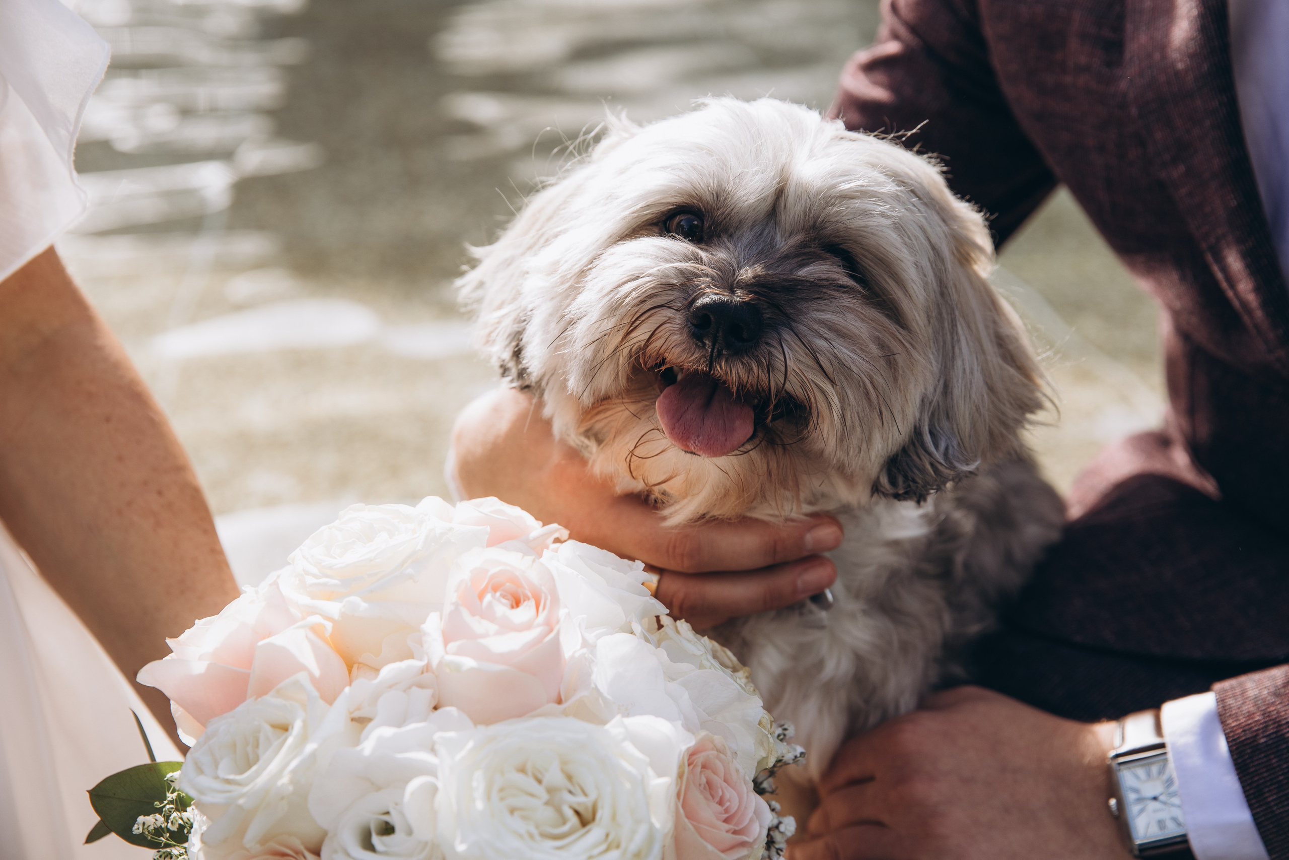 Alli and Michael. Wedding Stories — Professional Wedding Photography & Videography in Germany, Italy, Spain & all across Europe