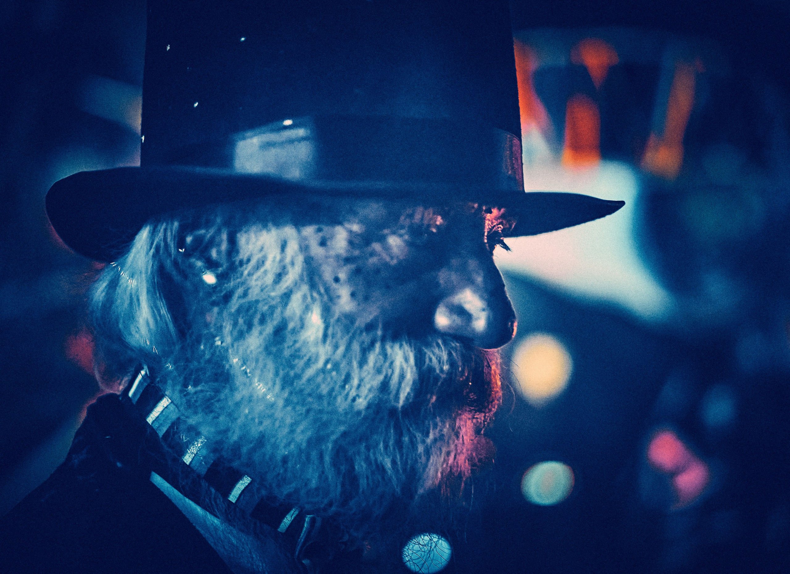 Kosmiczny koncert zespołu SPACEBOY na Organic Festival 2021. Andriej Szypilow - Fotografia & Wideografia