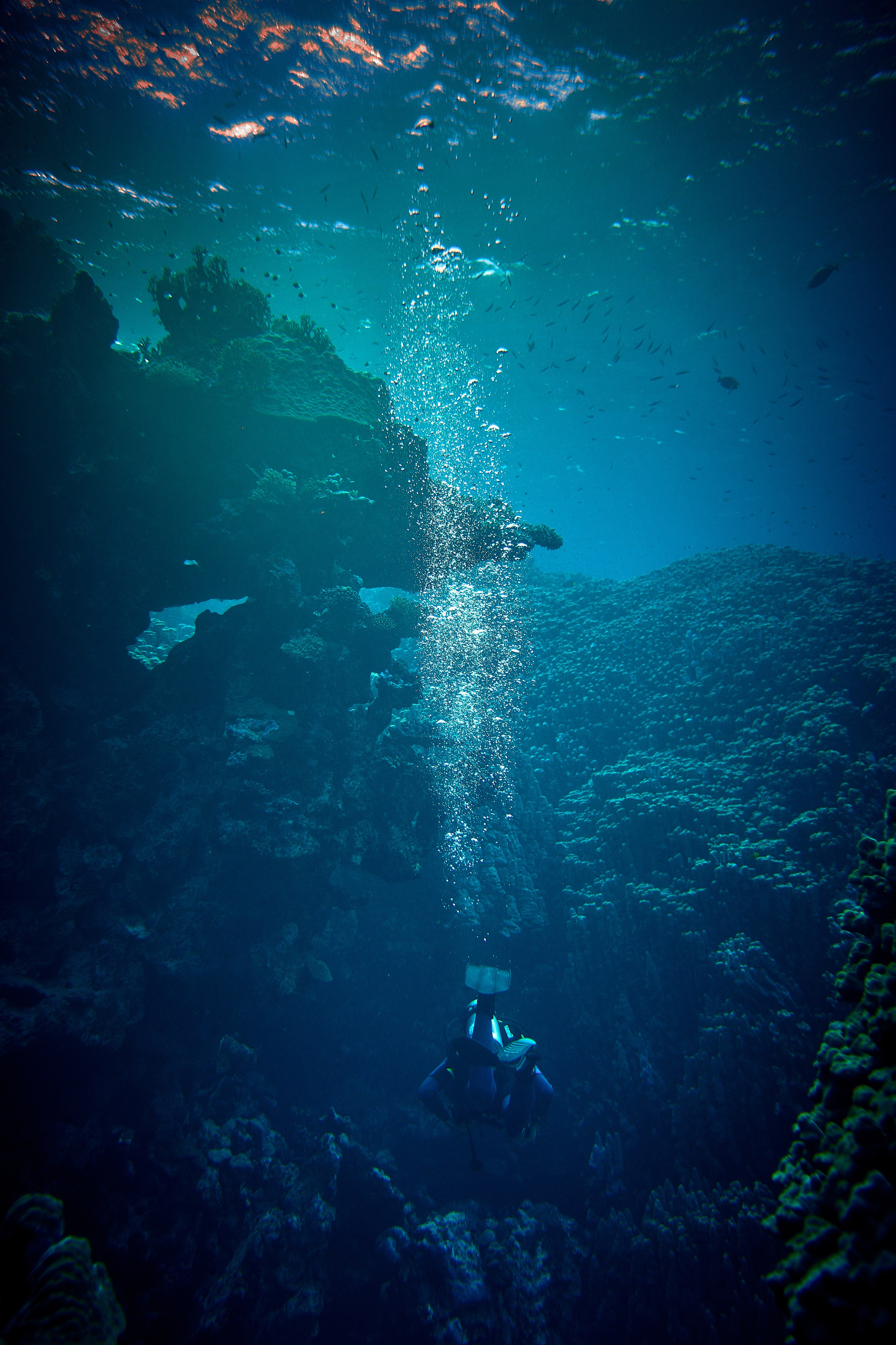 2023-11 - Diving Safari Deep South Egypt. Andriej Szypilow — Photography & Videography