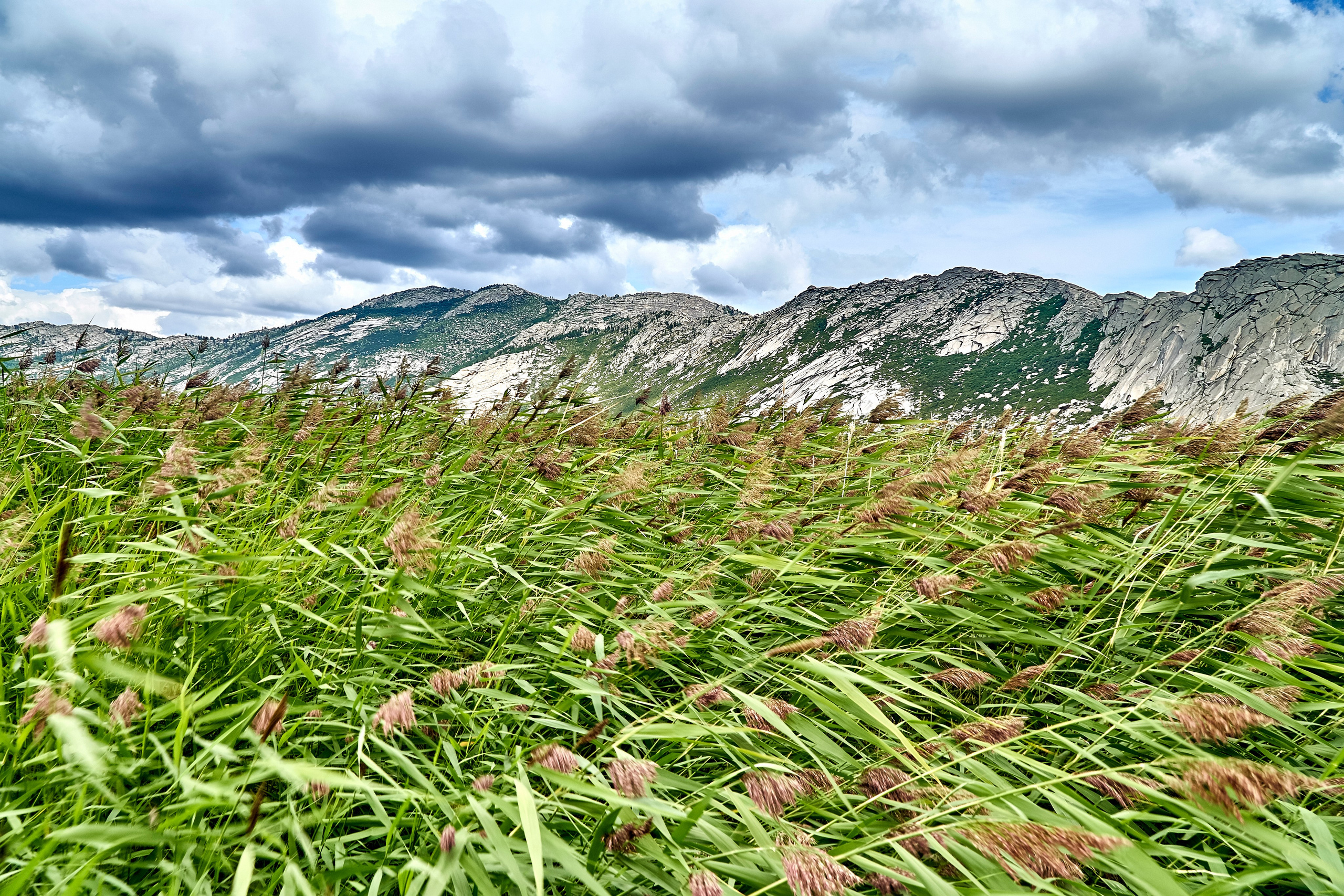 Сибины. Андрей Шипилов — Фотография & Видеография