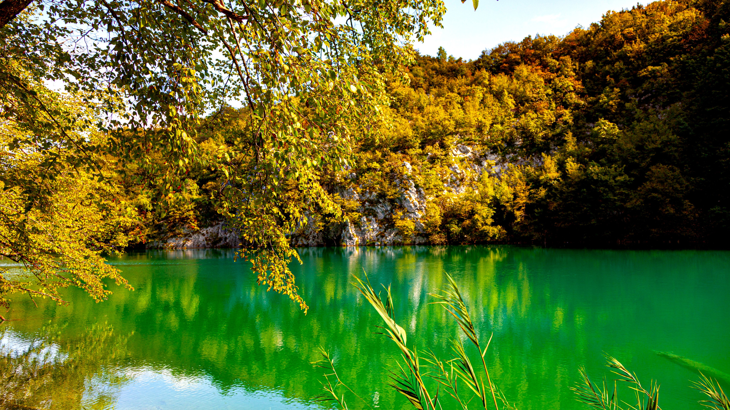 161.Plitvice lakes.17.9.2023. Путешествия в формате 360......