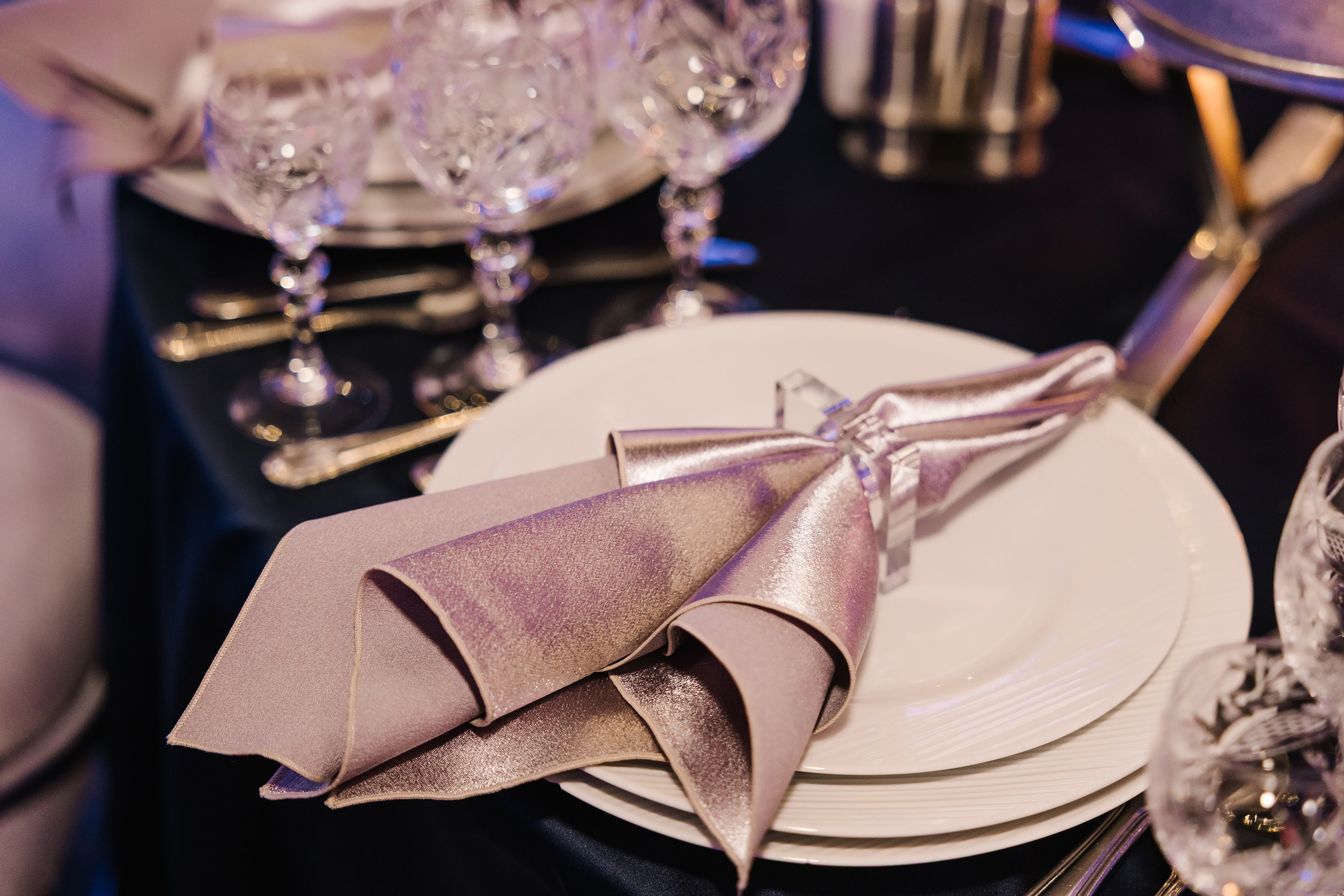 06.28.25 Birthday Party. Wedding family event photographer in Chicago Nick Yushevich