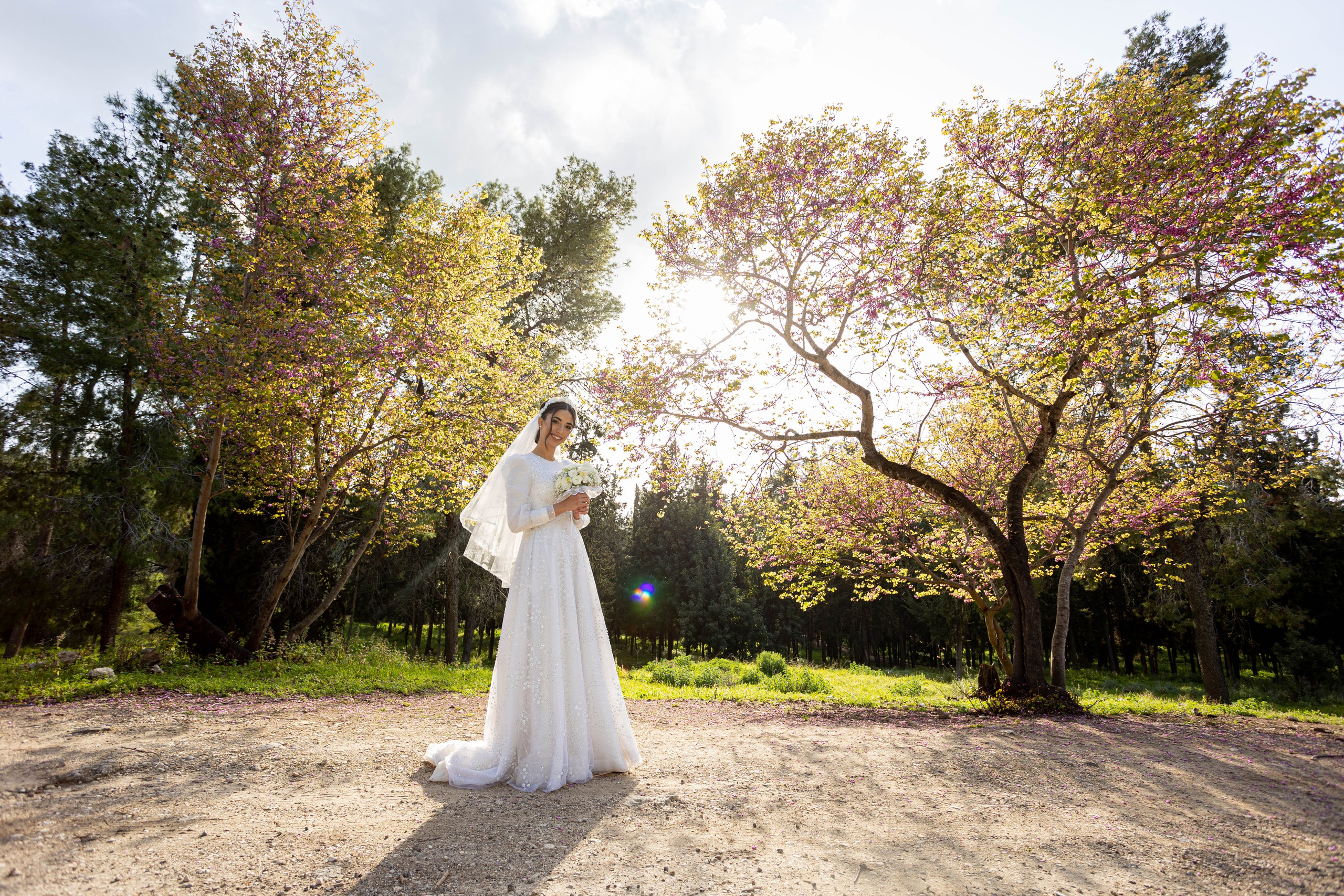 S&N. משה מנשה צלם חתונות