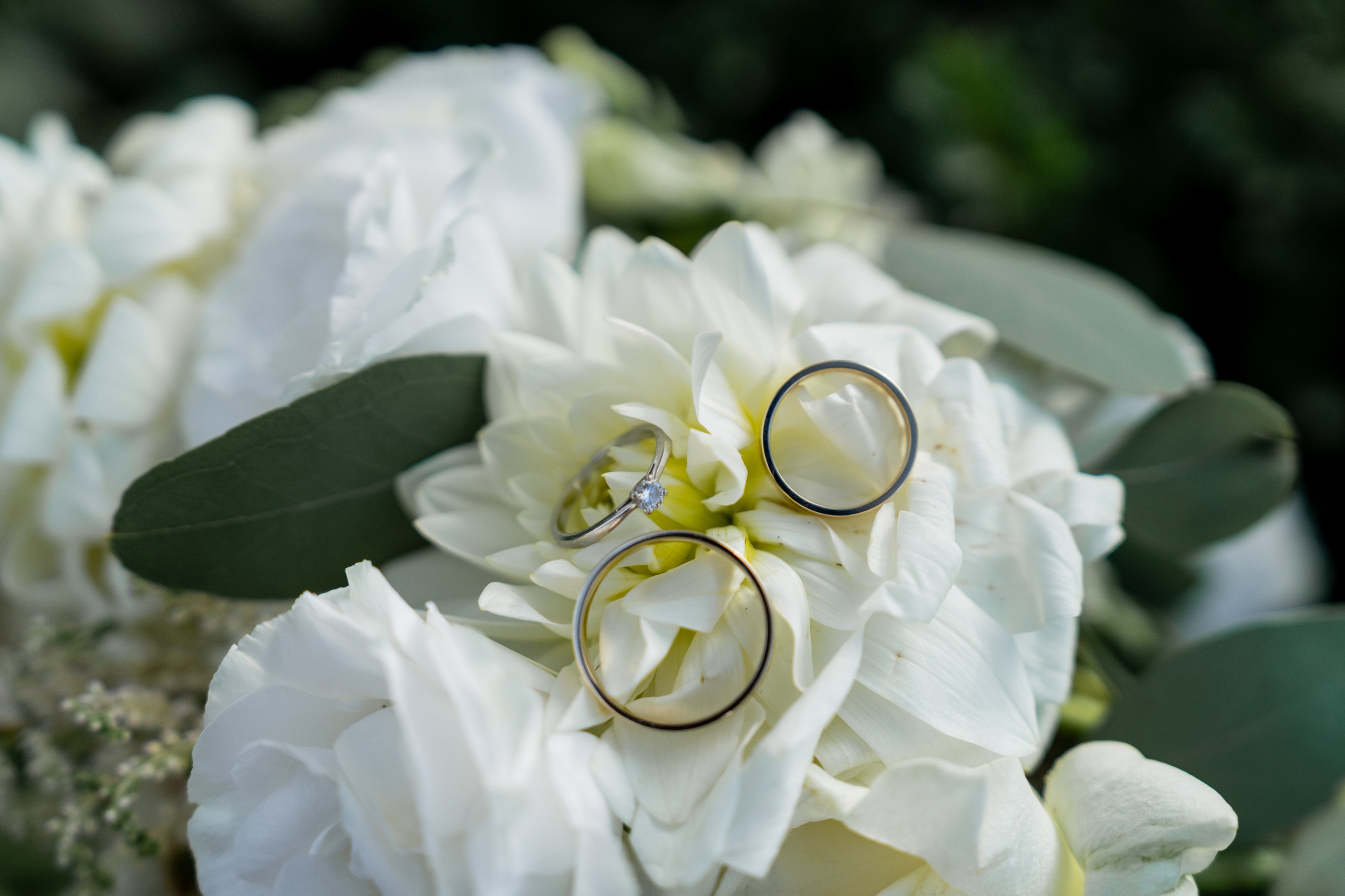 A&D. SL Wedding Photo: ponadczasowa fotografia ślubna | Wrocław & Europa