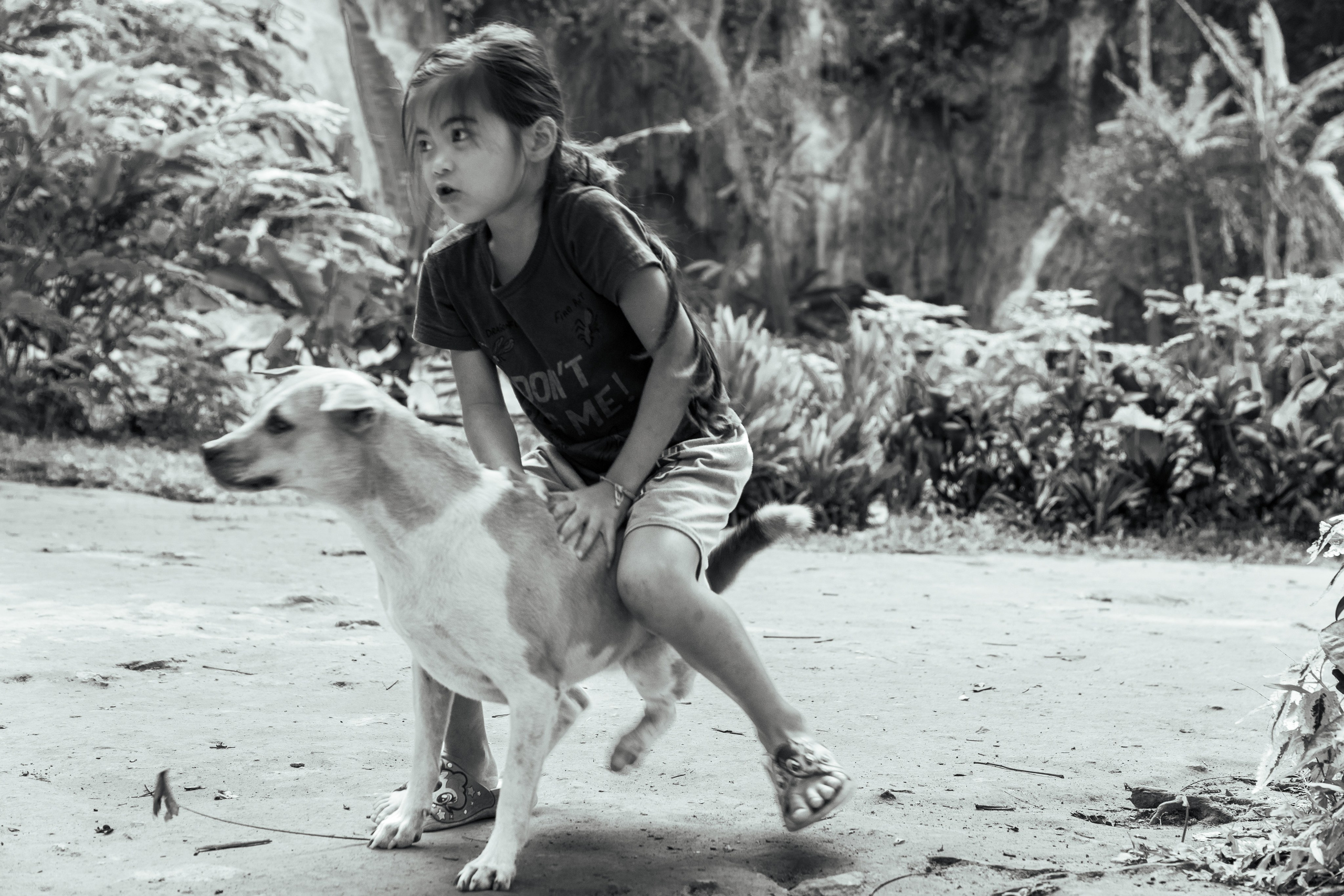 Лаос 2023. Art and outdoor photography