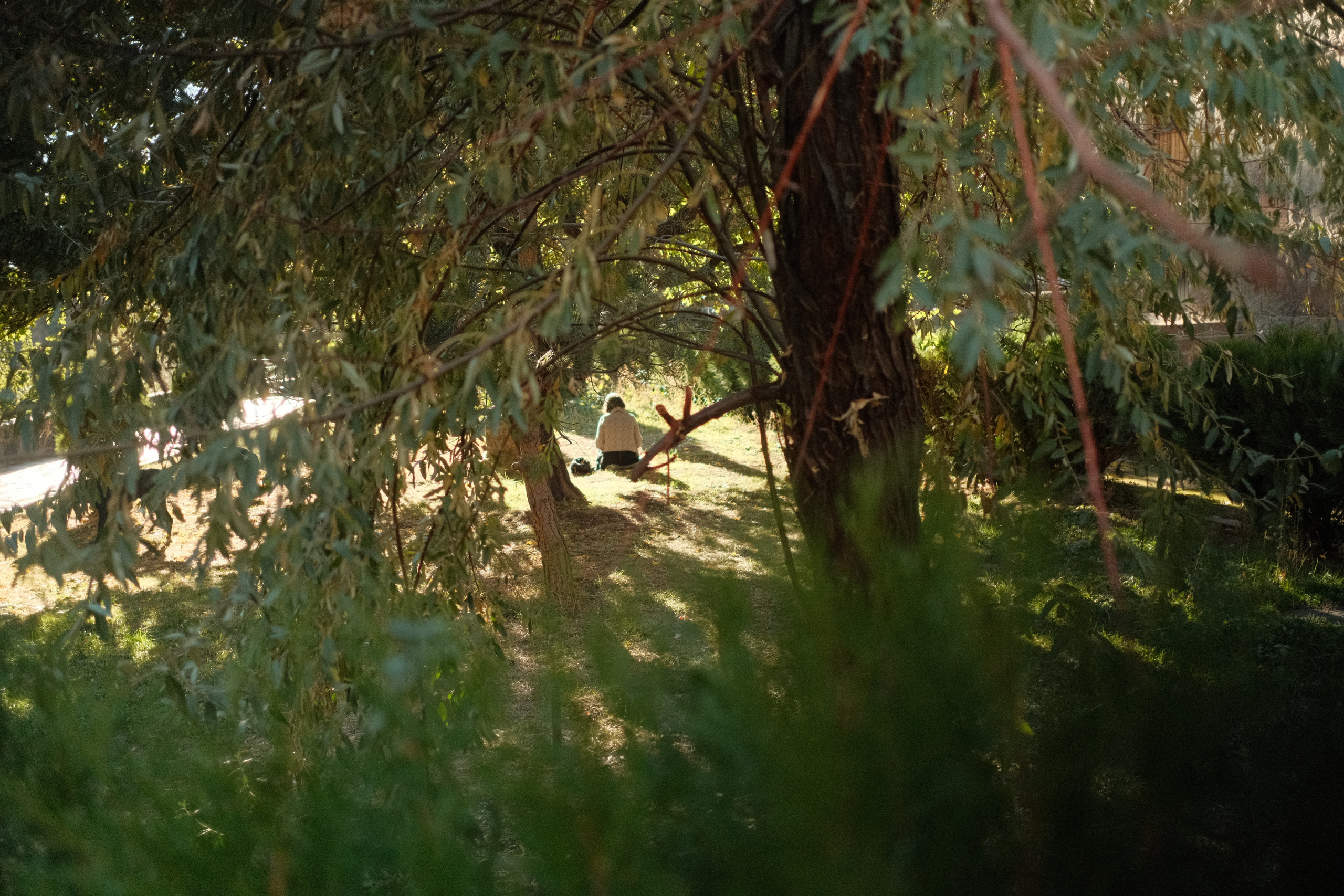 Portrait and Lifestyle Photographer in Vienna — Nick Pavlov