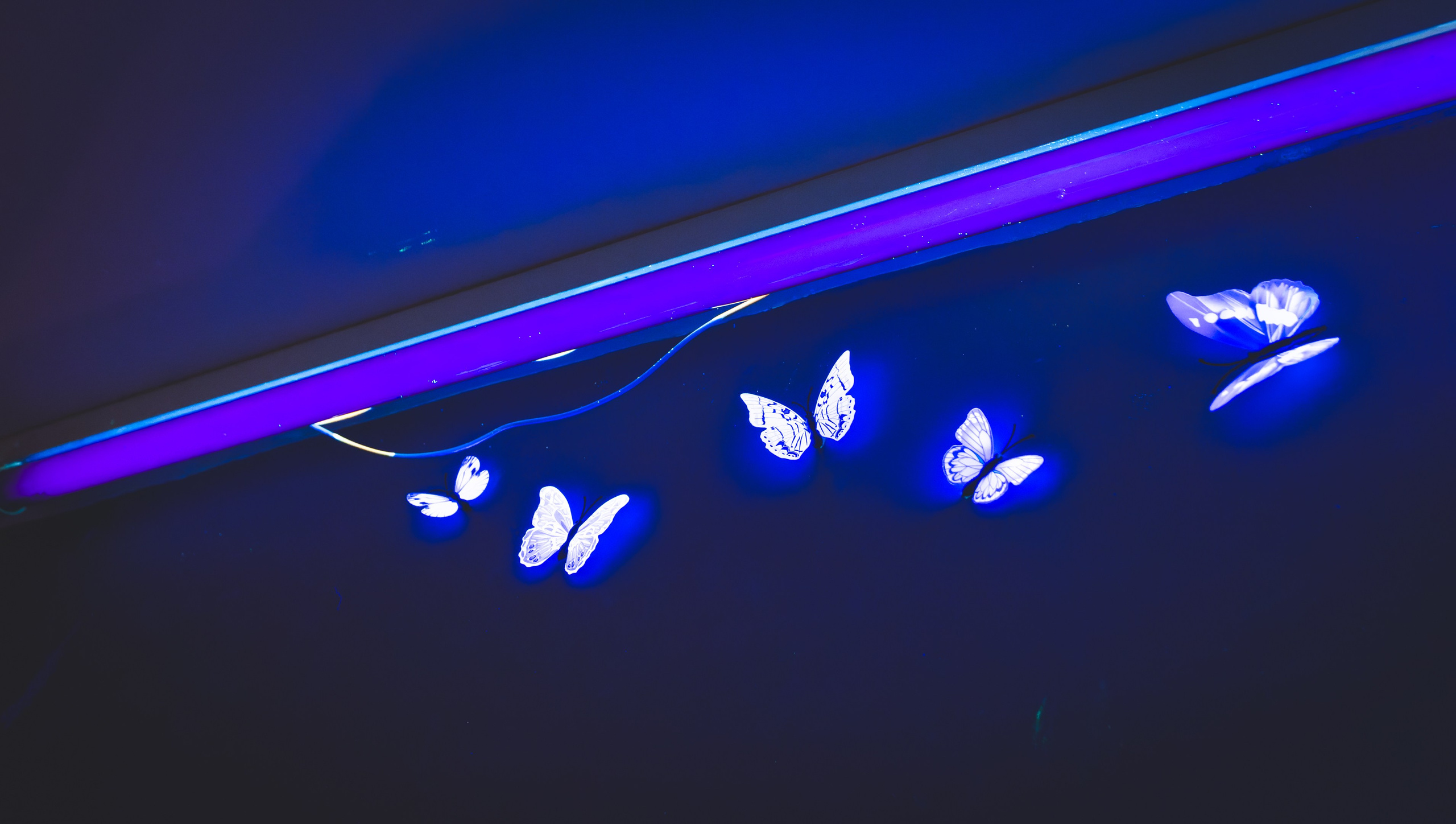 Puhkus Peterburis (Ermitaaž, Shadow muuseum, Grand Maket Venemaa, ArtMuza). Nebula 25 — Fotod teie hingele