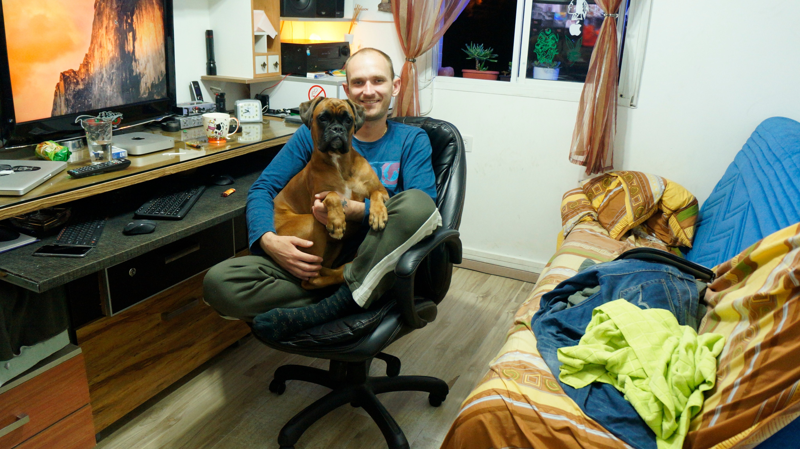 My ״Star״ Boxer Dog