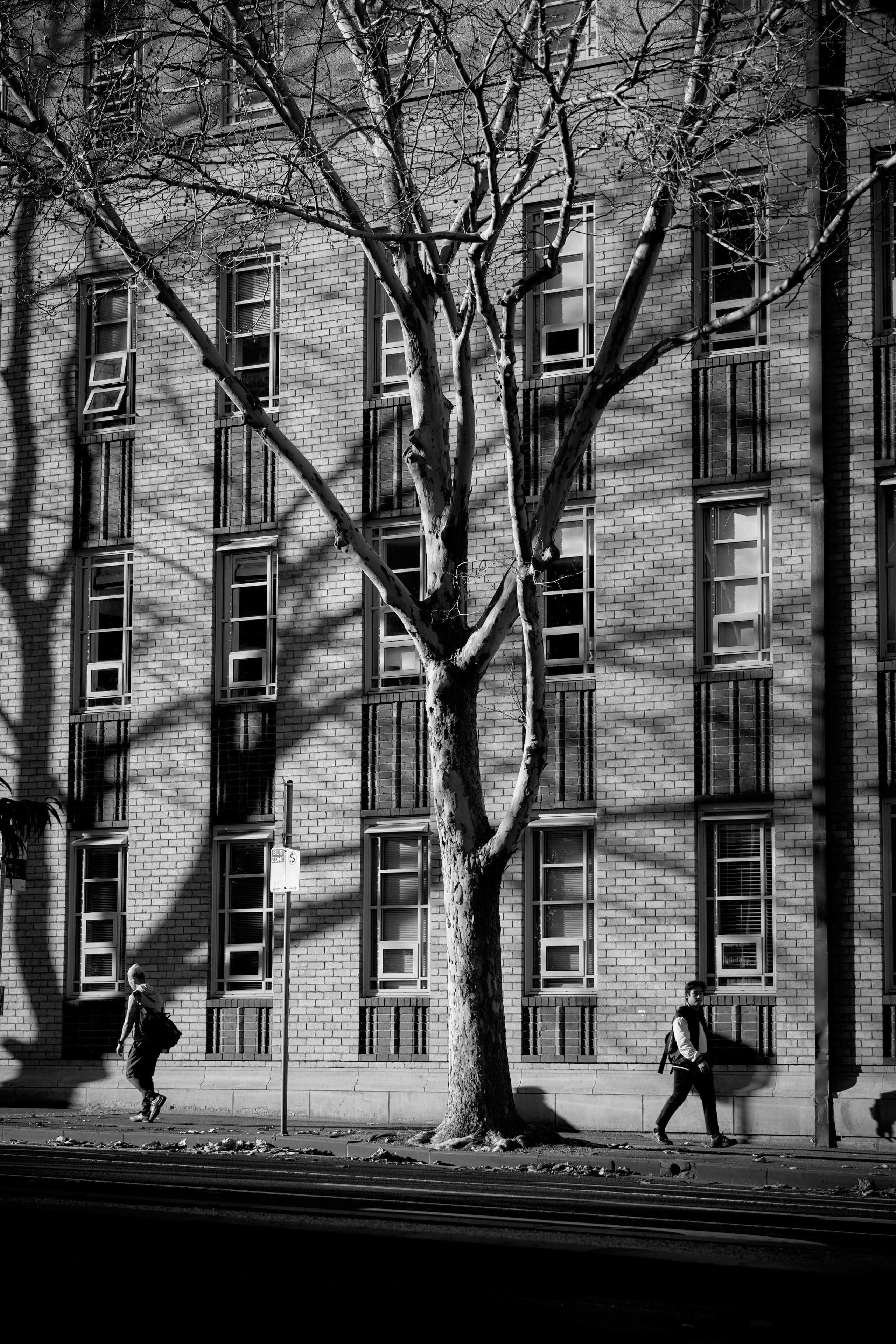 Melbourne Street Photography 2025. CARTER BNW