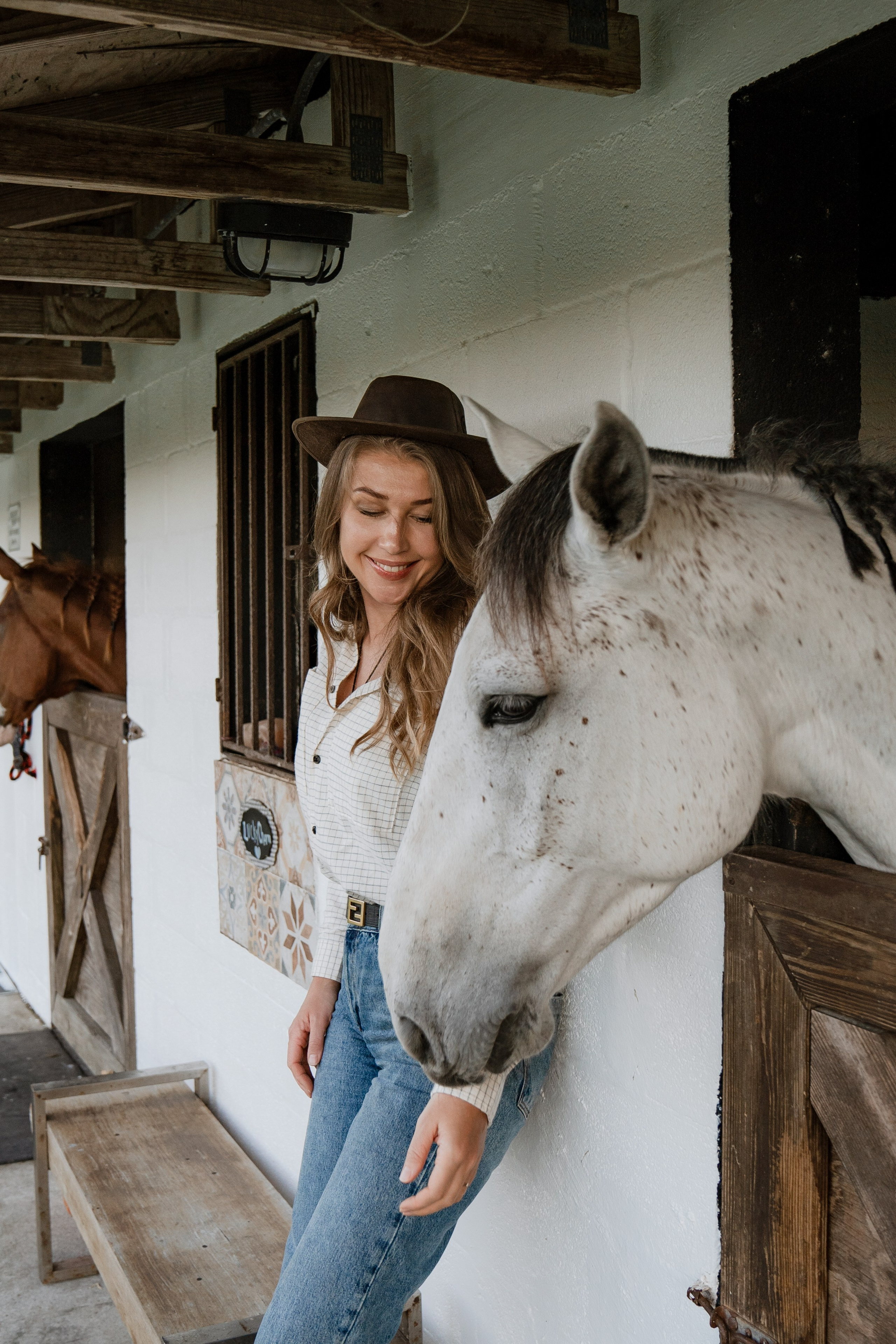 Stables Sessions. Https://the-photo-way.wfolio.pro