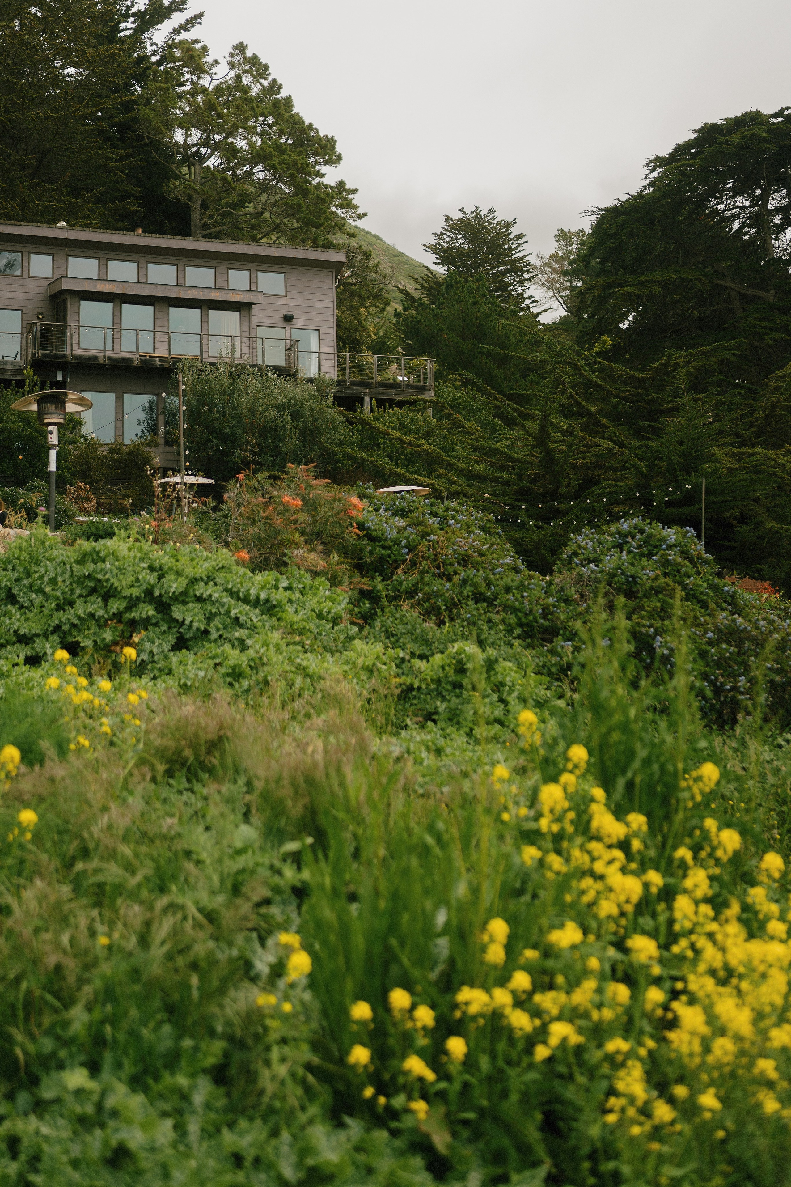 Wedding photographer Big Sur. Wedding Photography & Videography Team in California, Los Angeles, San Francisco, San Diego and Travel