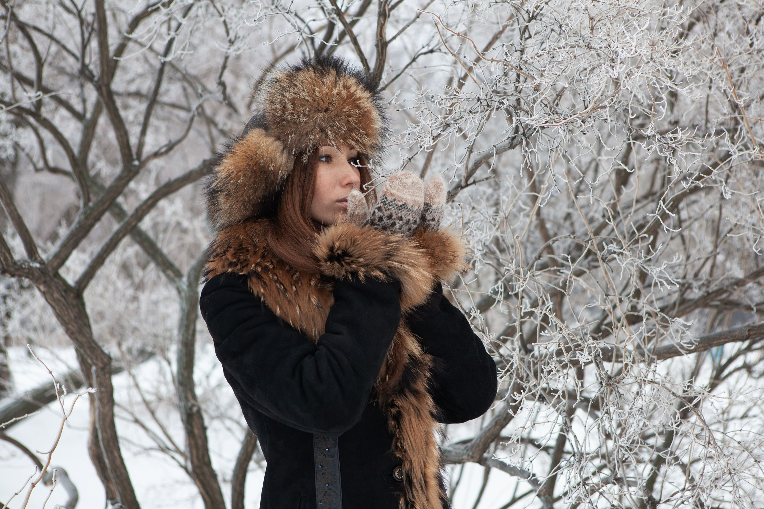 Портфолио. Фотограф Шалаев Дмитрий