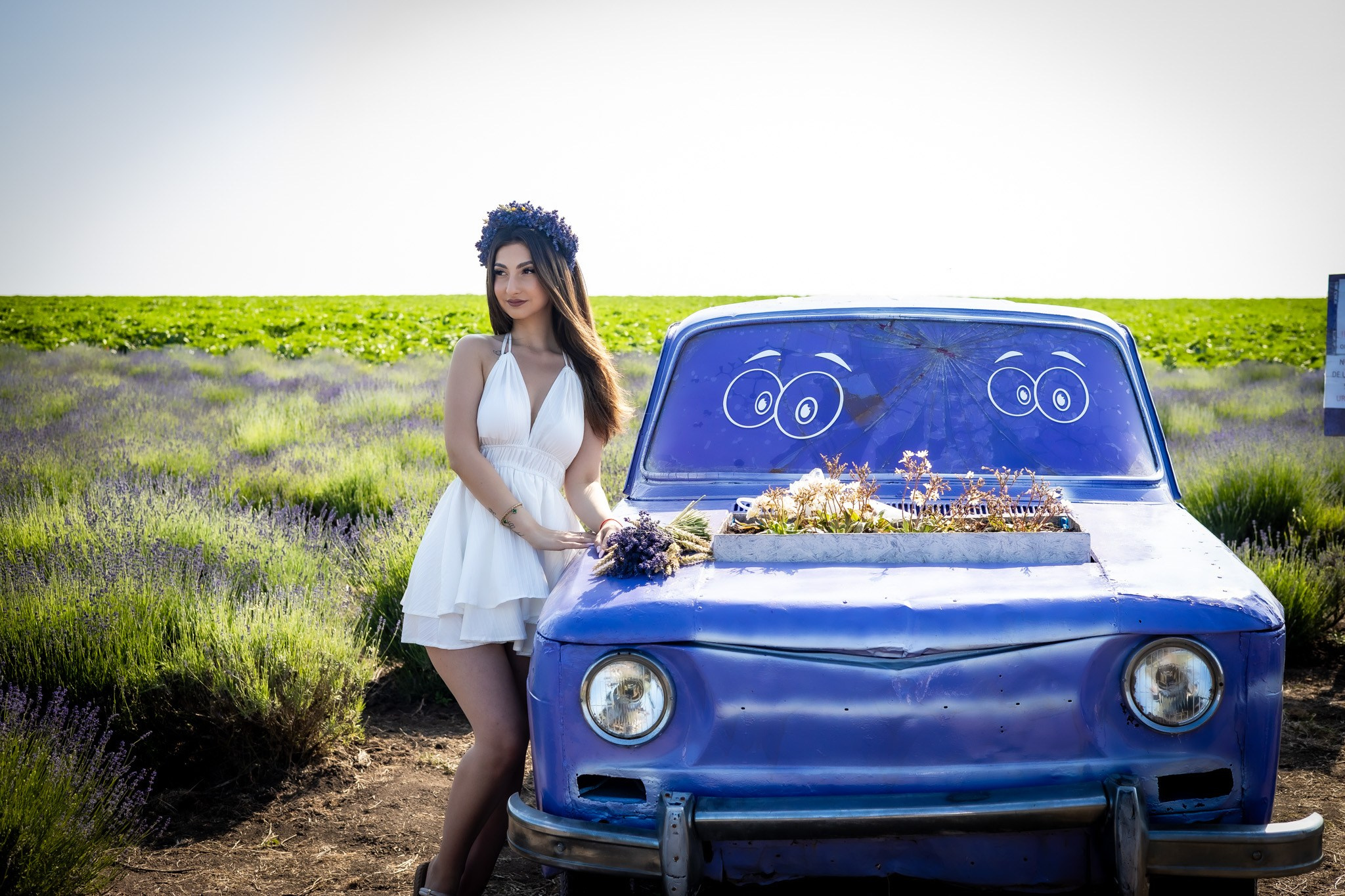Sedinta foto in lavanda